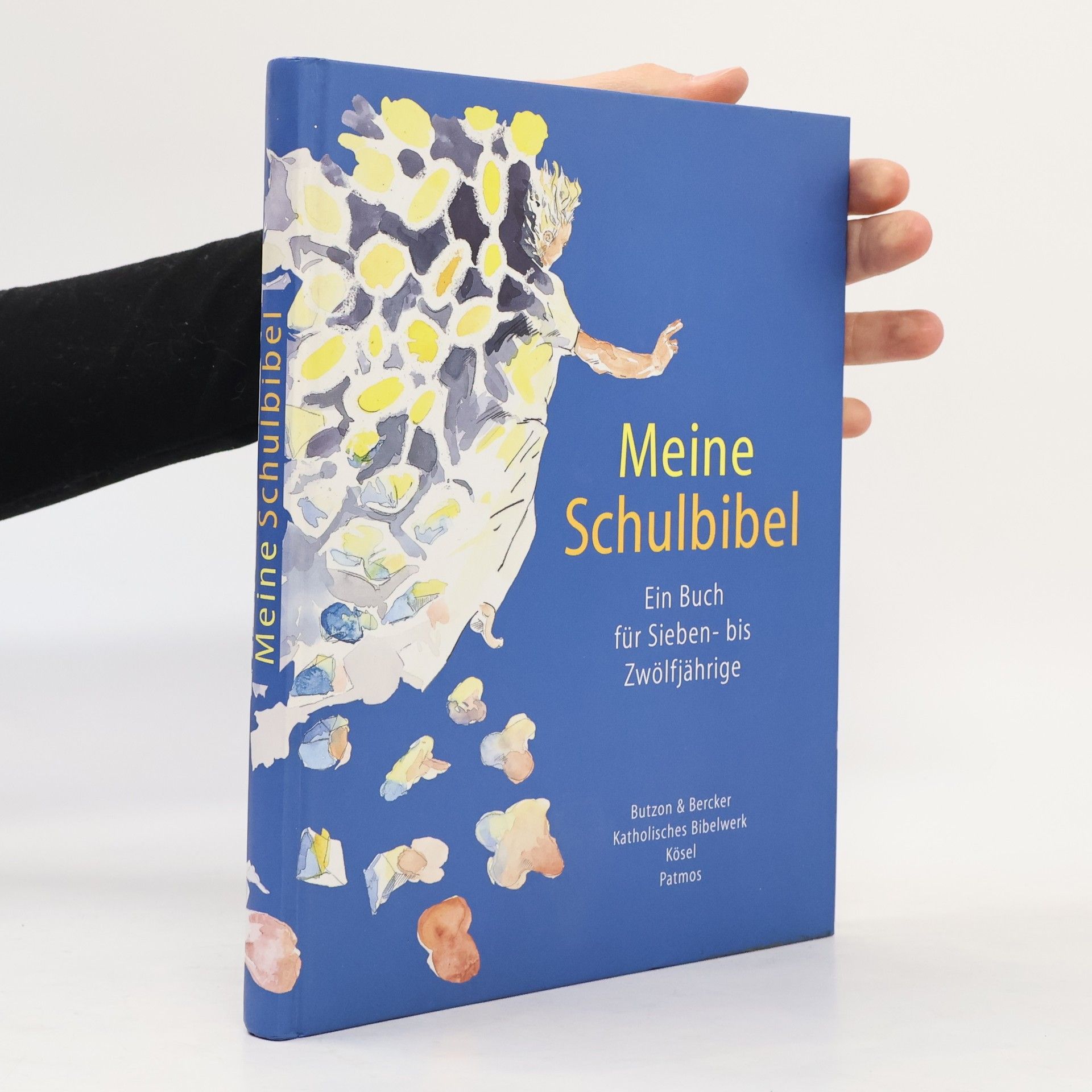 Various authors Meine Schulbibel