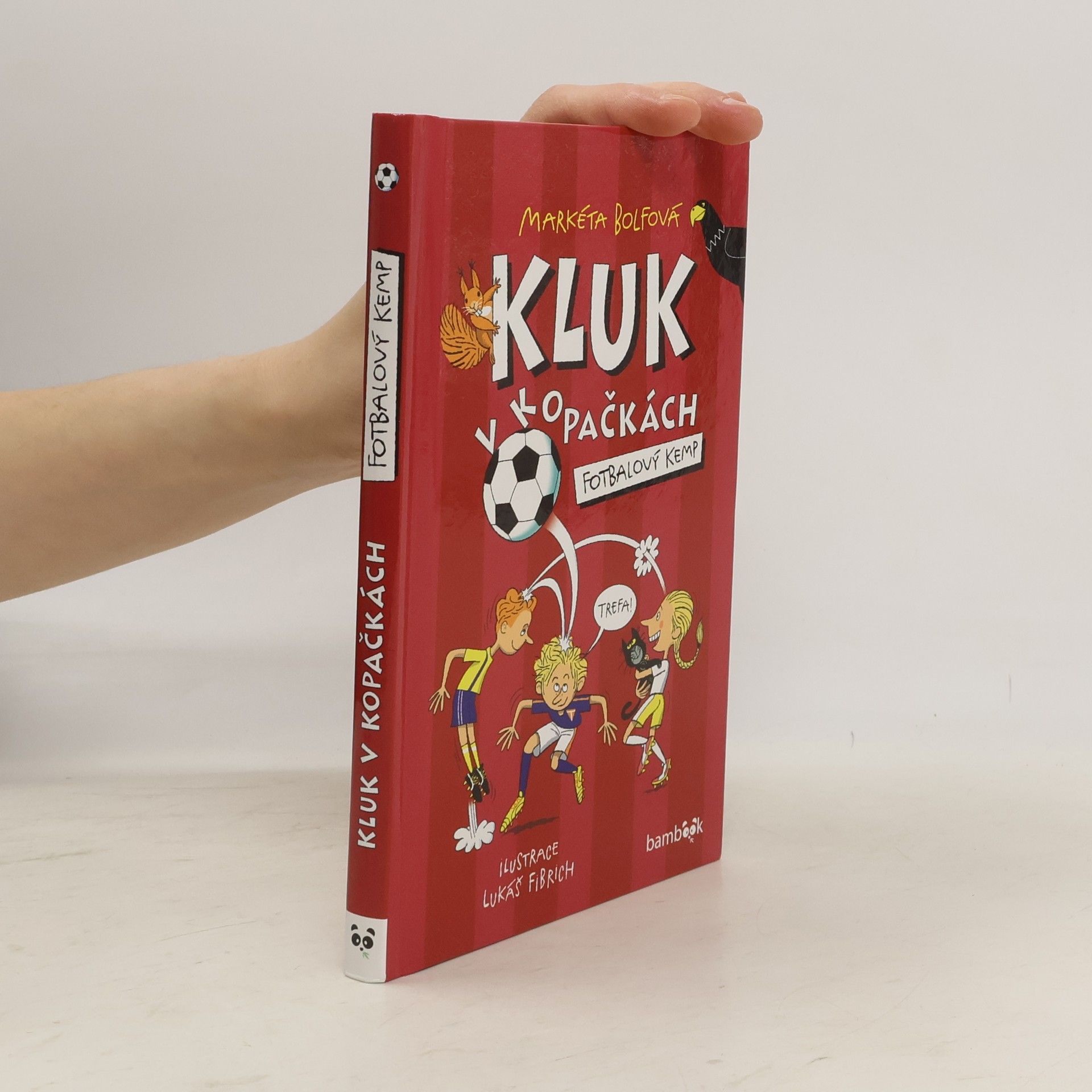 Lubomír Šebesta Kluk v kopačkách – Fotbalový kemp