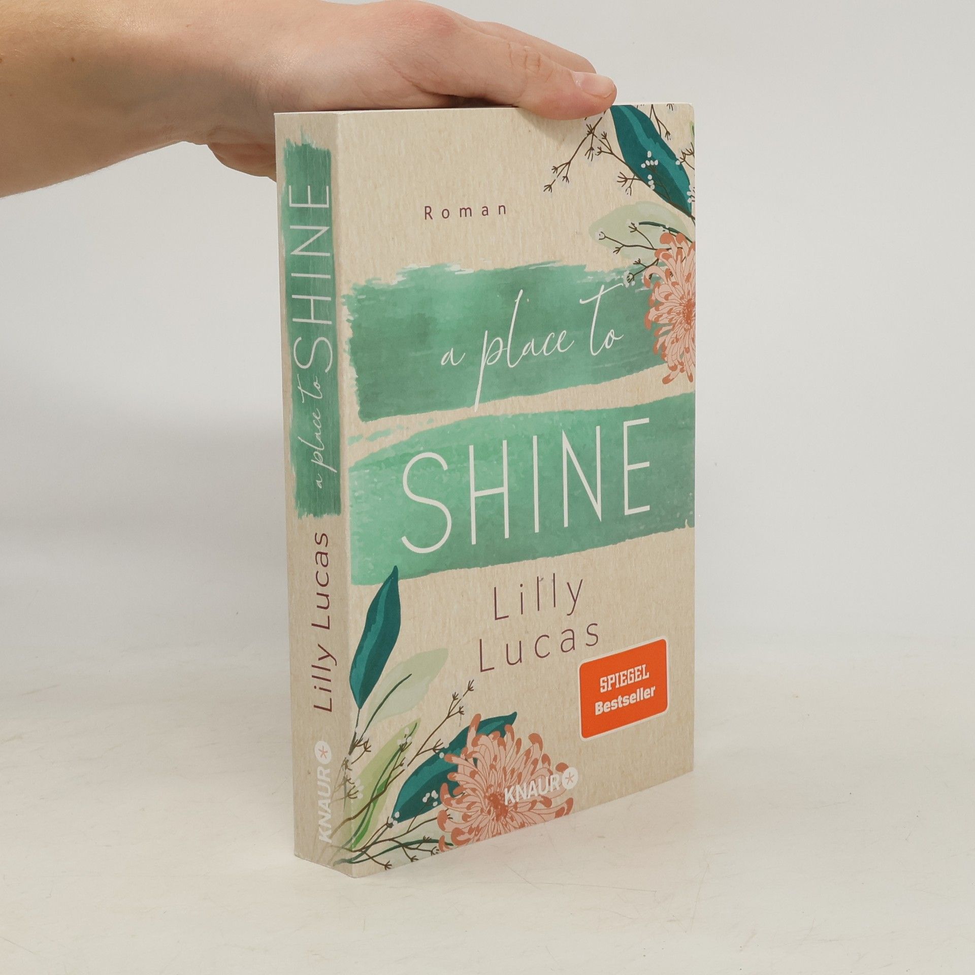 Lilly Lucas A Place to Shine