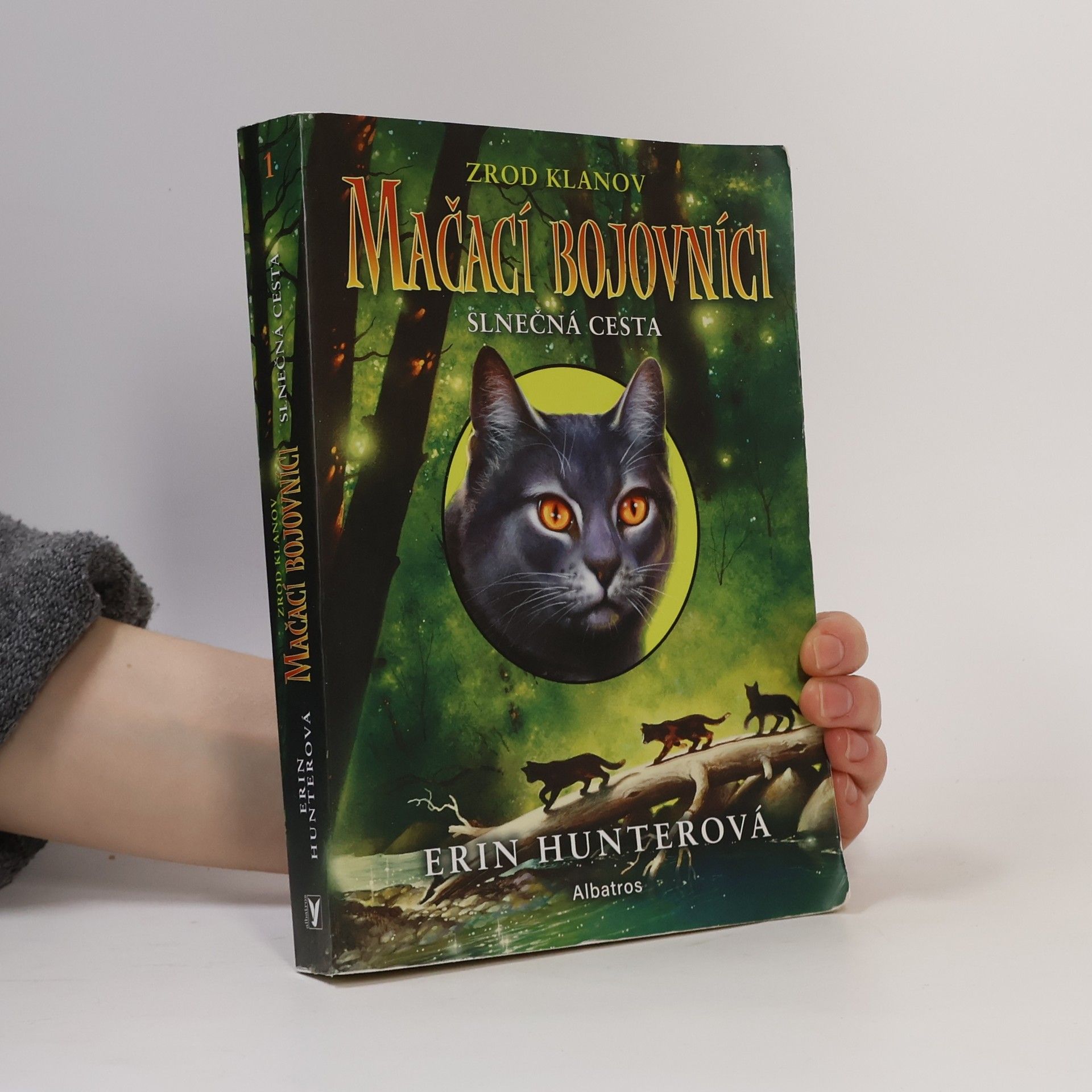 Erin Hunter Slnečná cesta