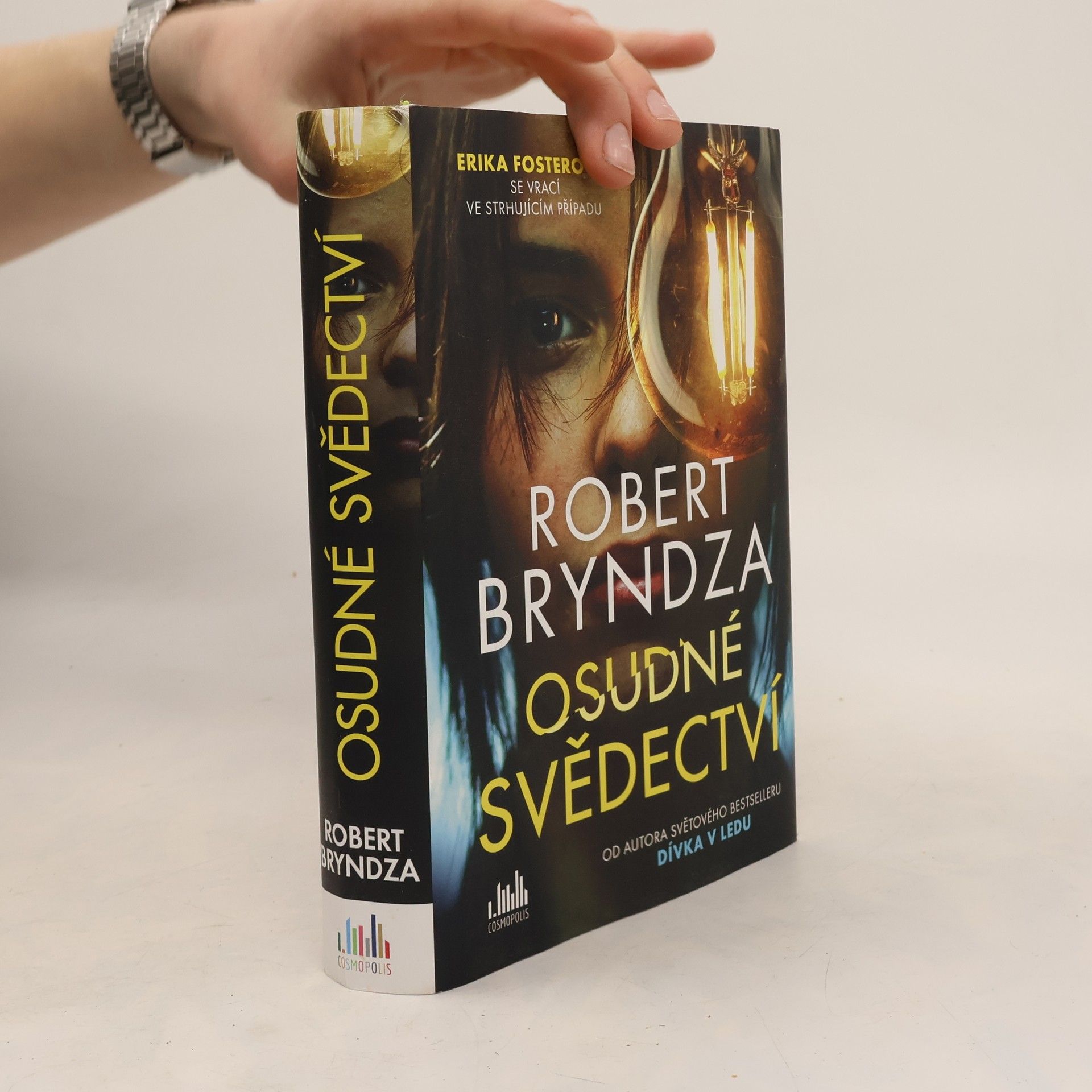 Robert Bryndza Osudné svědectví