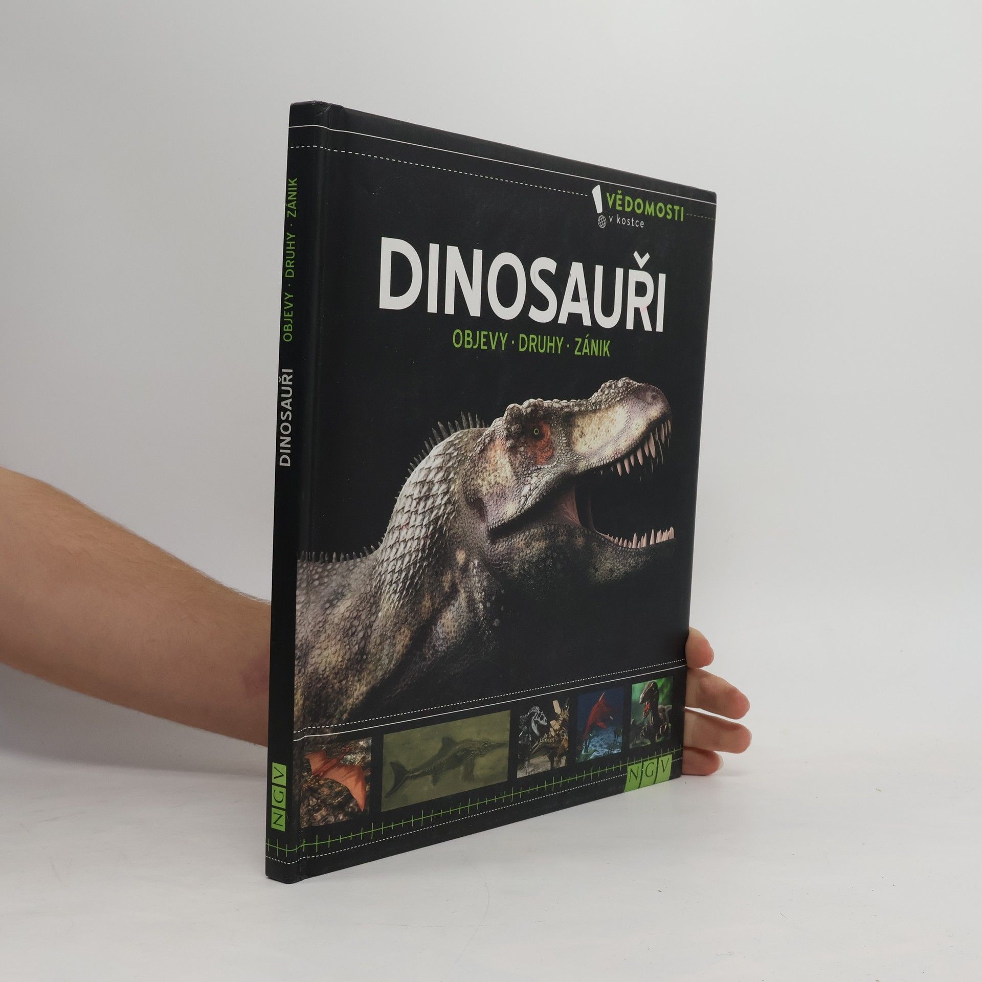 Kolektiv autorů Dinosauři