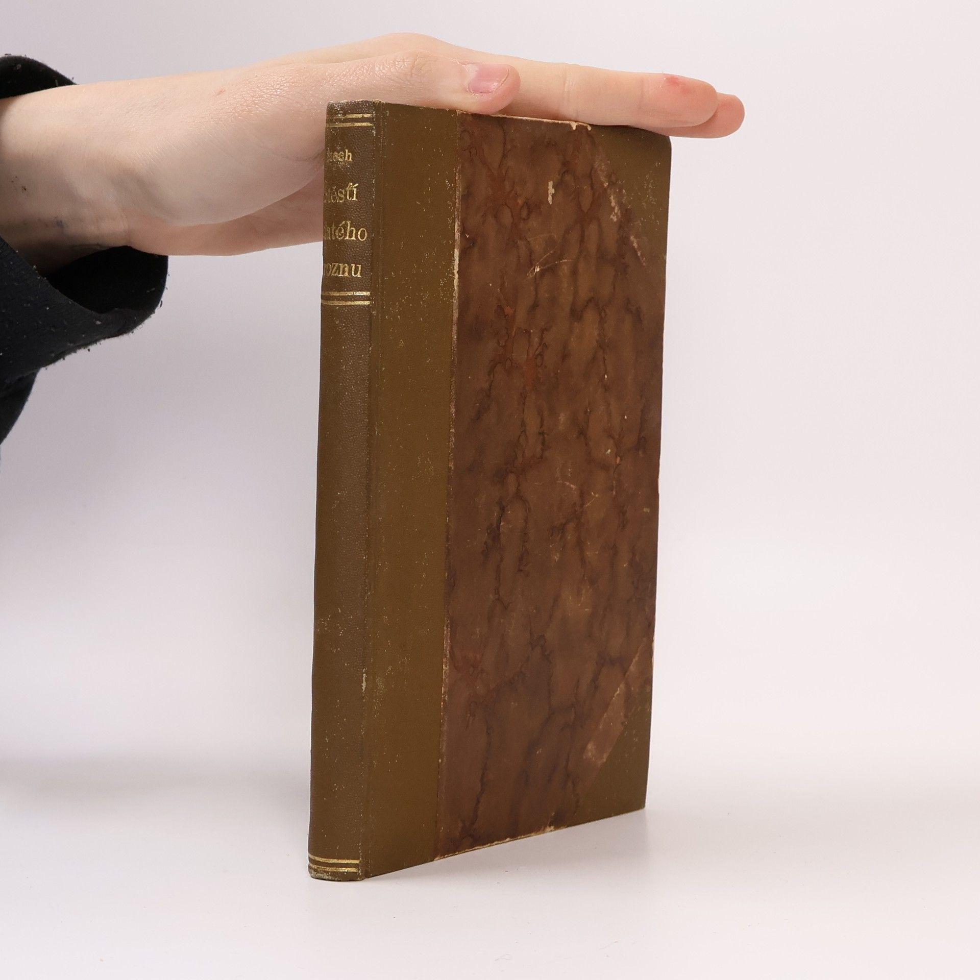 Václav Štech Štěstí Zlatého hroznu