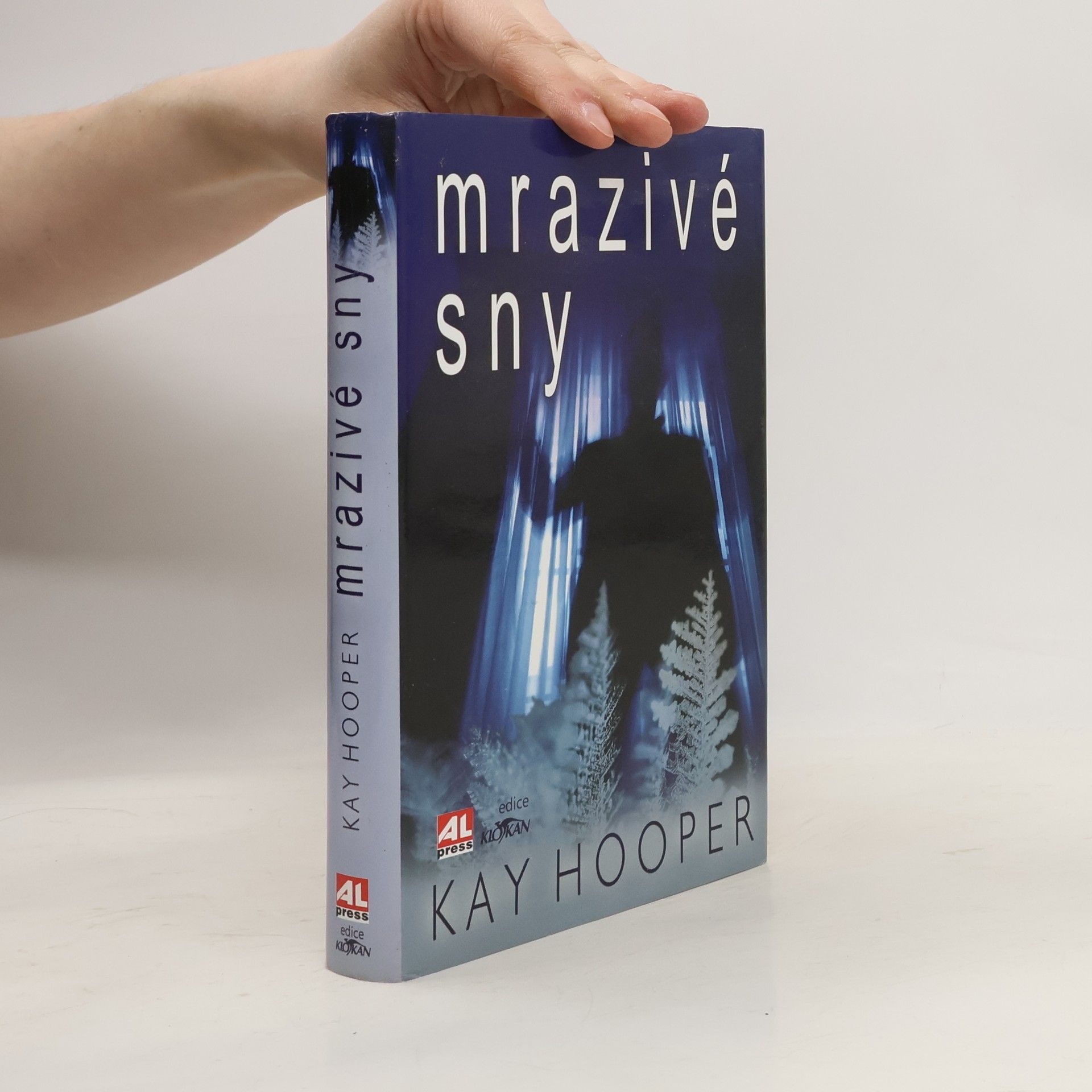 Kay Hooper Mrazivé sny