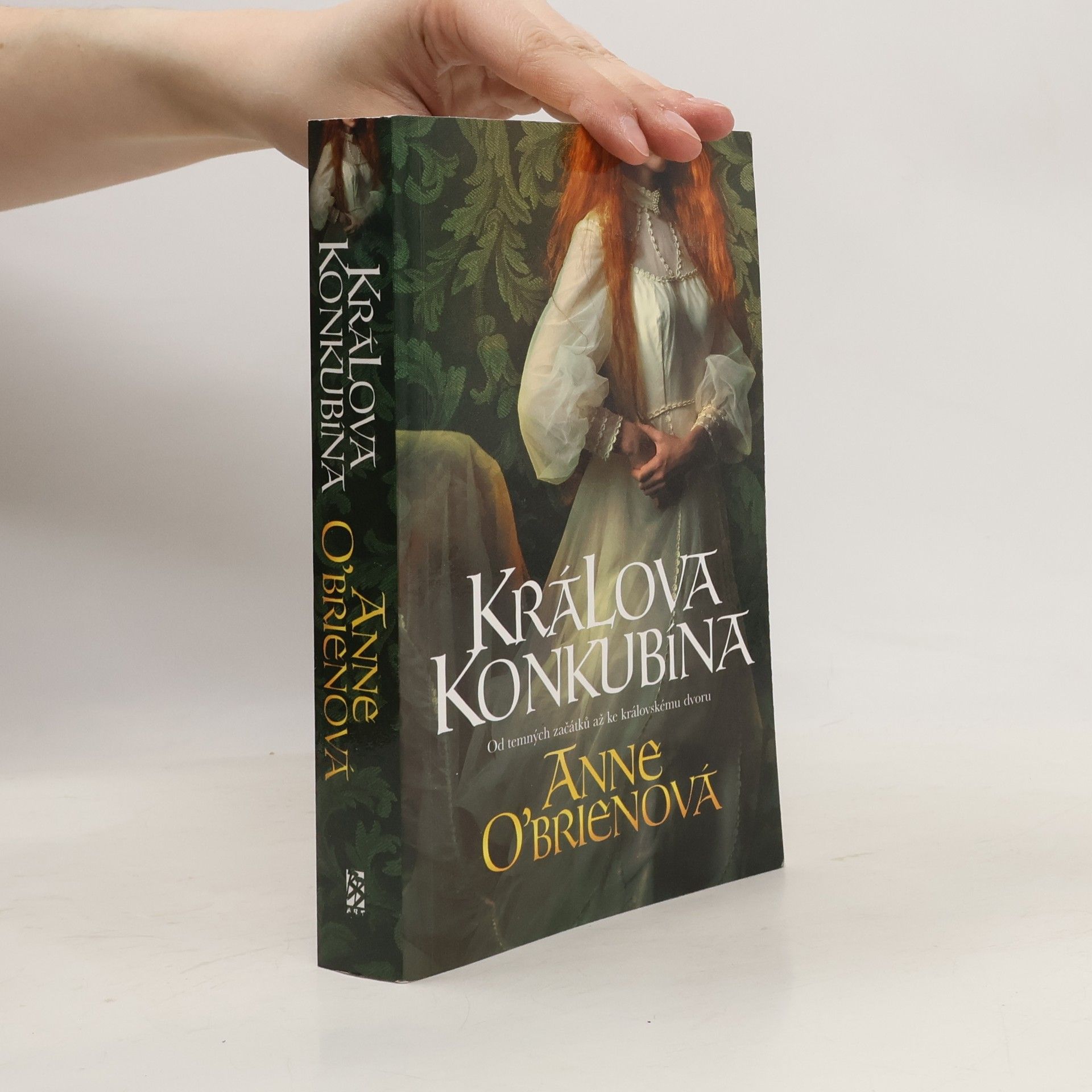 Anne O. Brien Králova konkubína