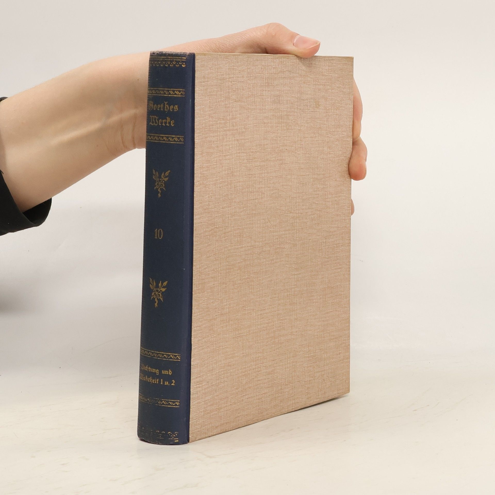 Johann Wolfgang von Goethe Goethes Werke. Zehnter Band