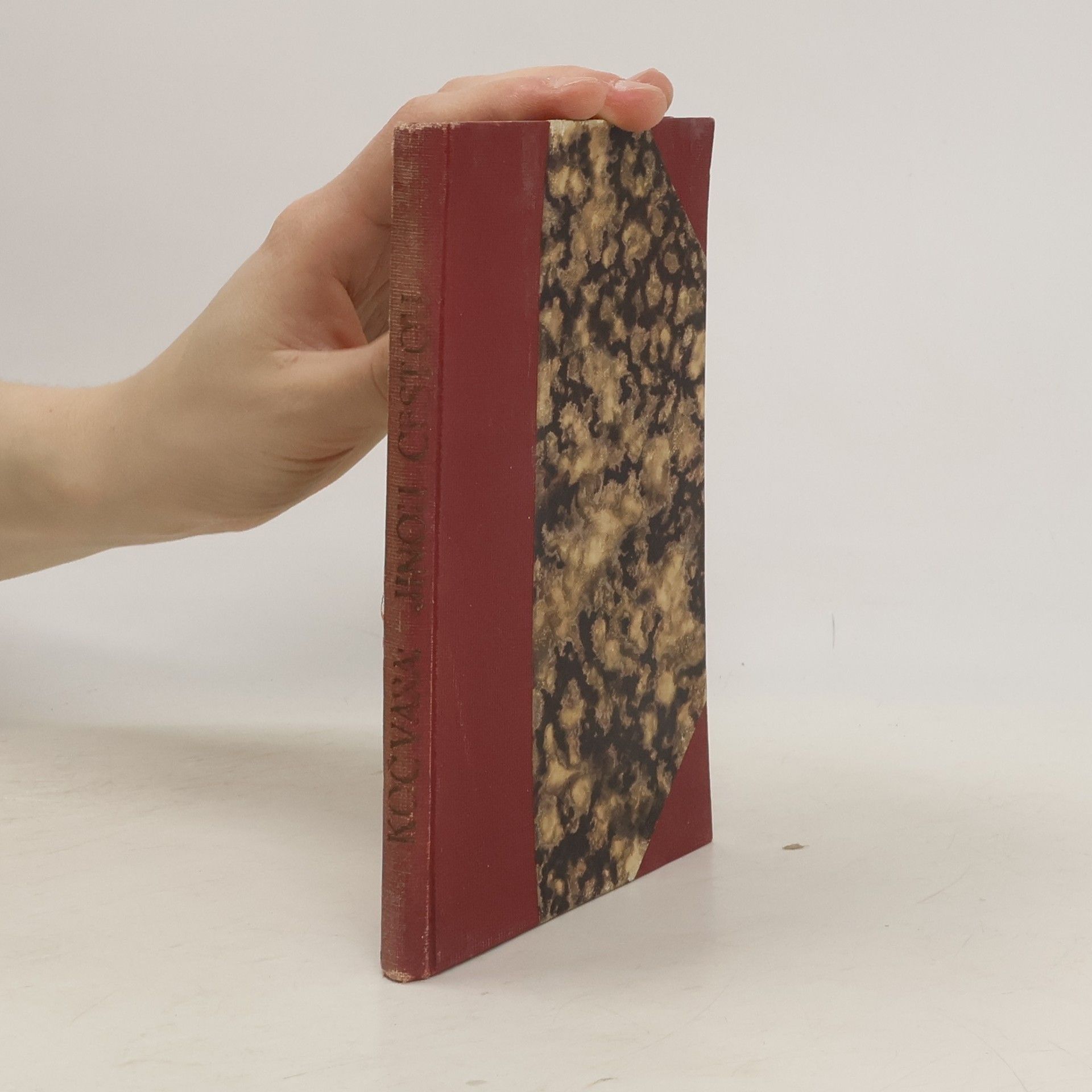 Antonín Kocvara Jinou cestou