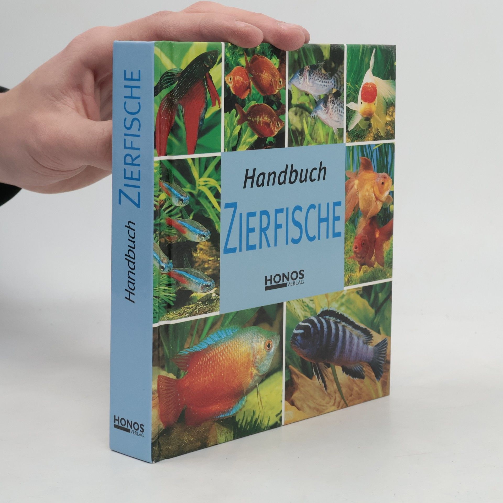 Autorenkollektiv Handbuch Zierfische