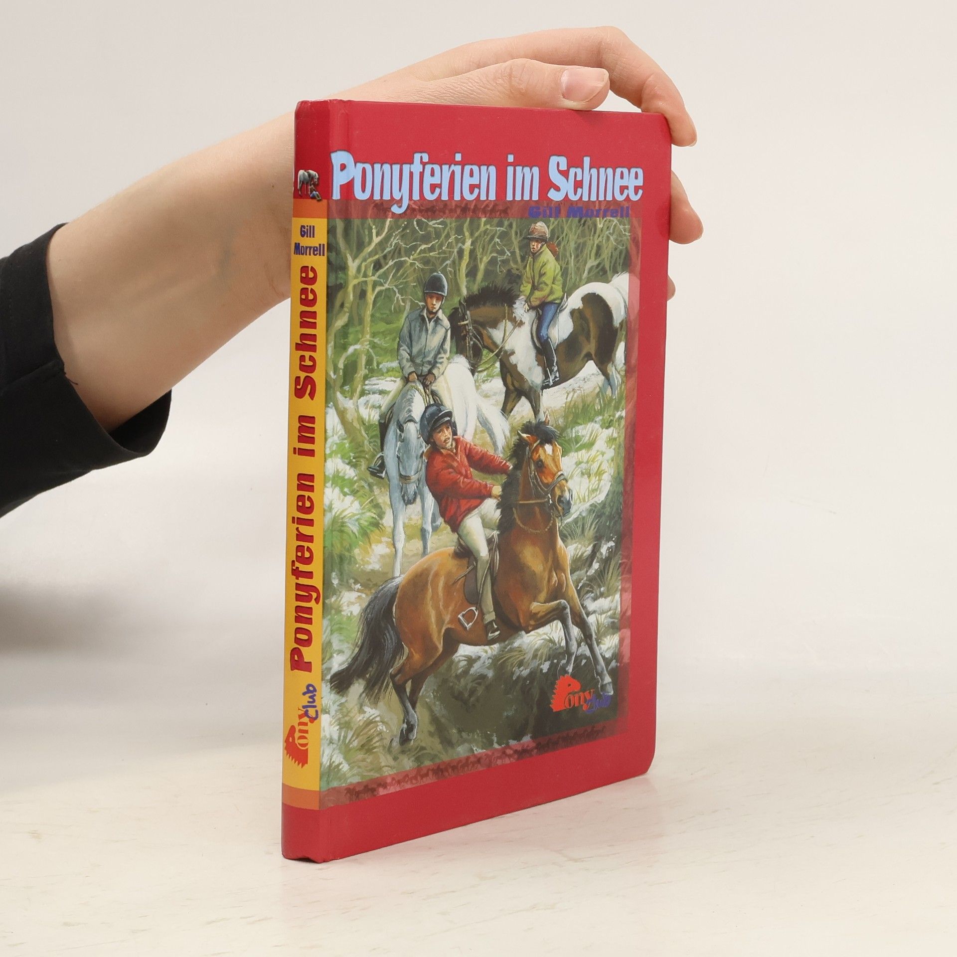 Gill Morrell Ponyferien im Schnee