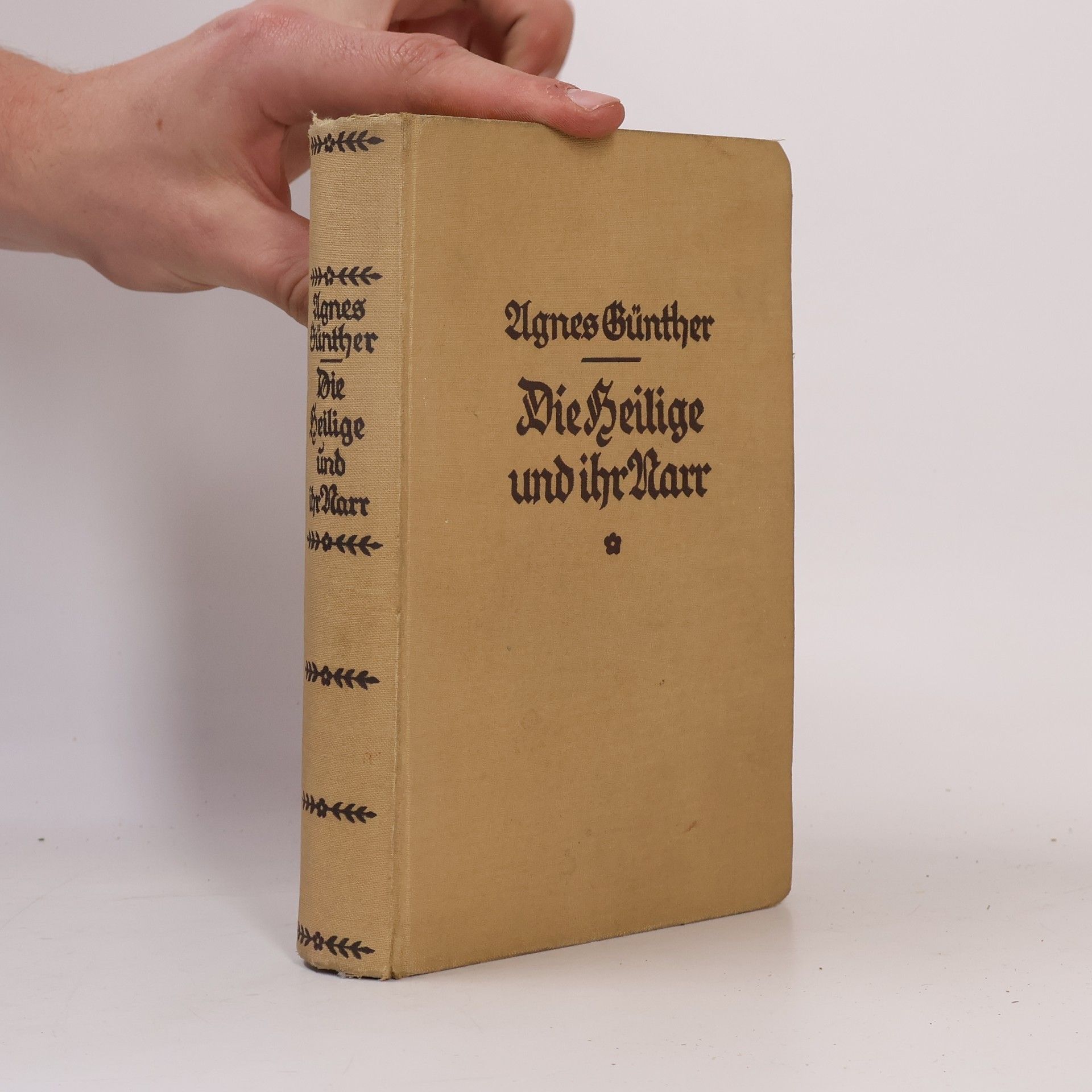 Agnes Günter Die Heilige und ihr Narr - Band 1
