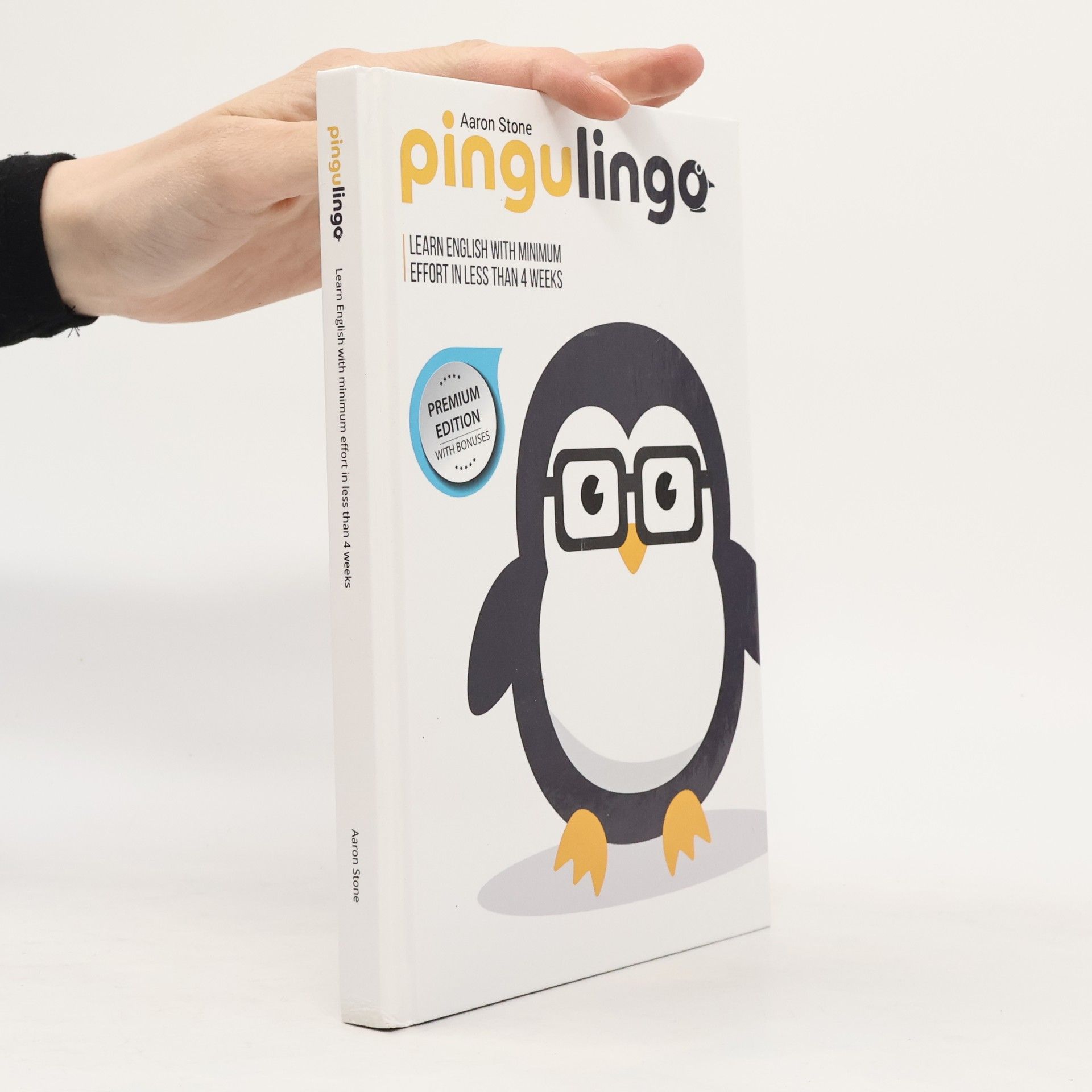 Aaron Stone Pingulingo: Learn english with minimum effort in less than 4 weeks