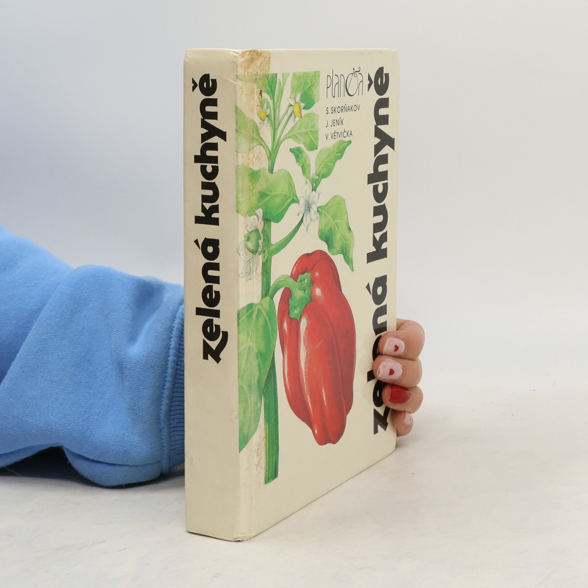 Jan Jeník Zelená kuchyně