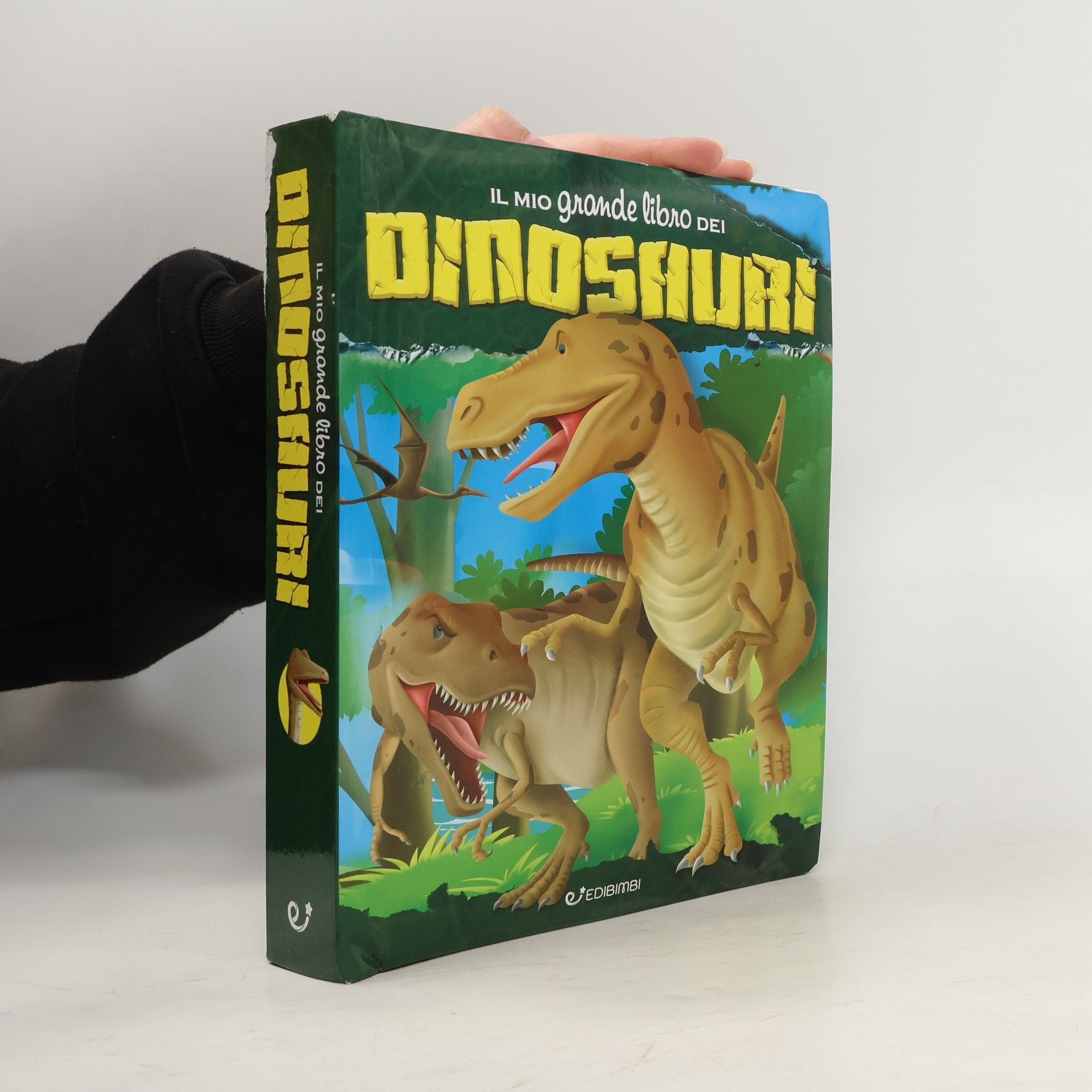 Autorenkollektiv Il mio grande libro dei dinosauri
