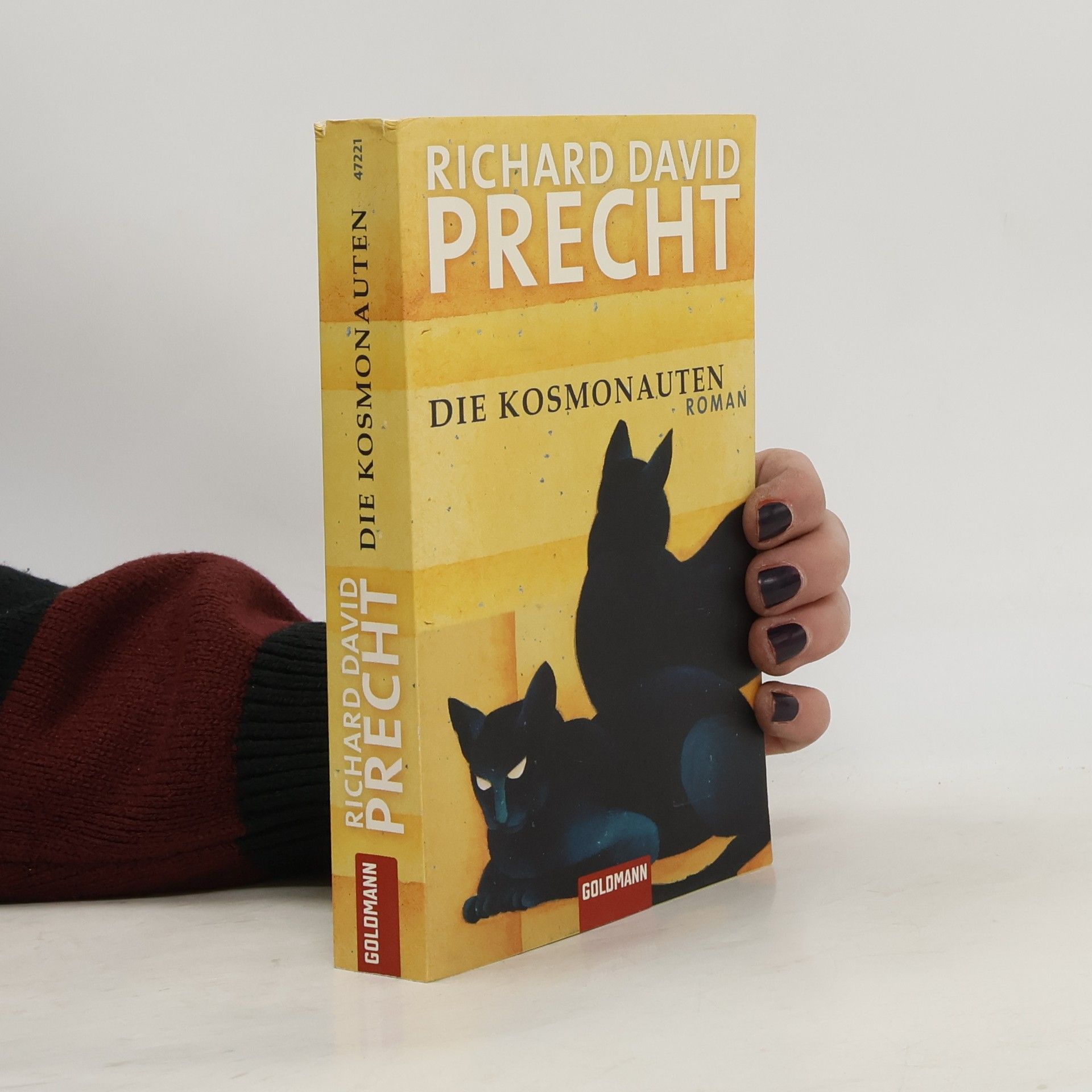 Richard David Precht Die Kosmonauten