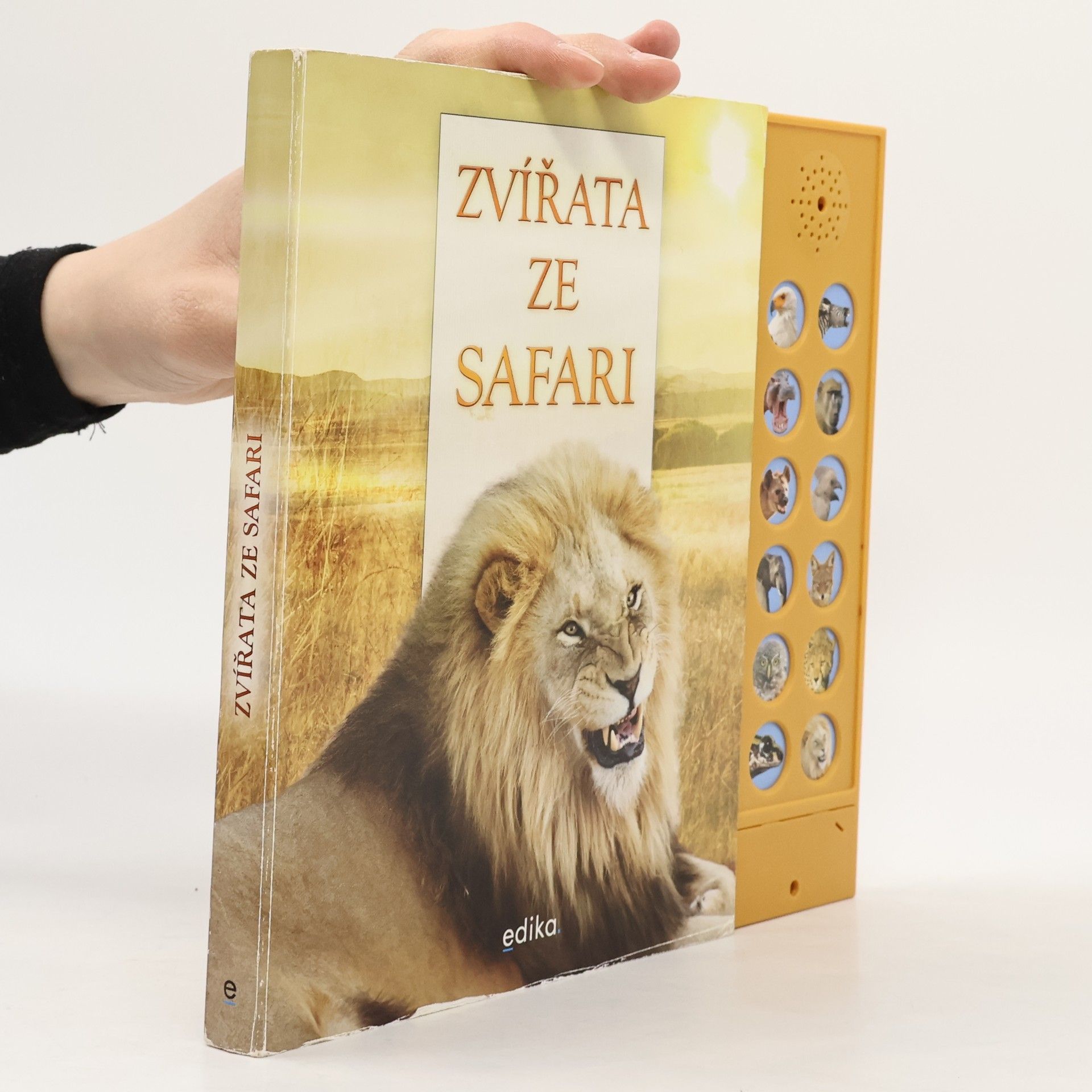 Andrea Pinnington Zvířata ze safari