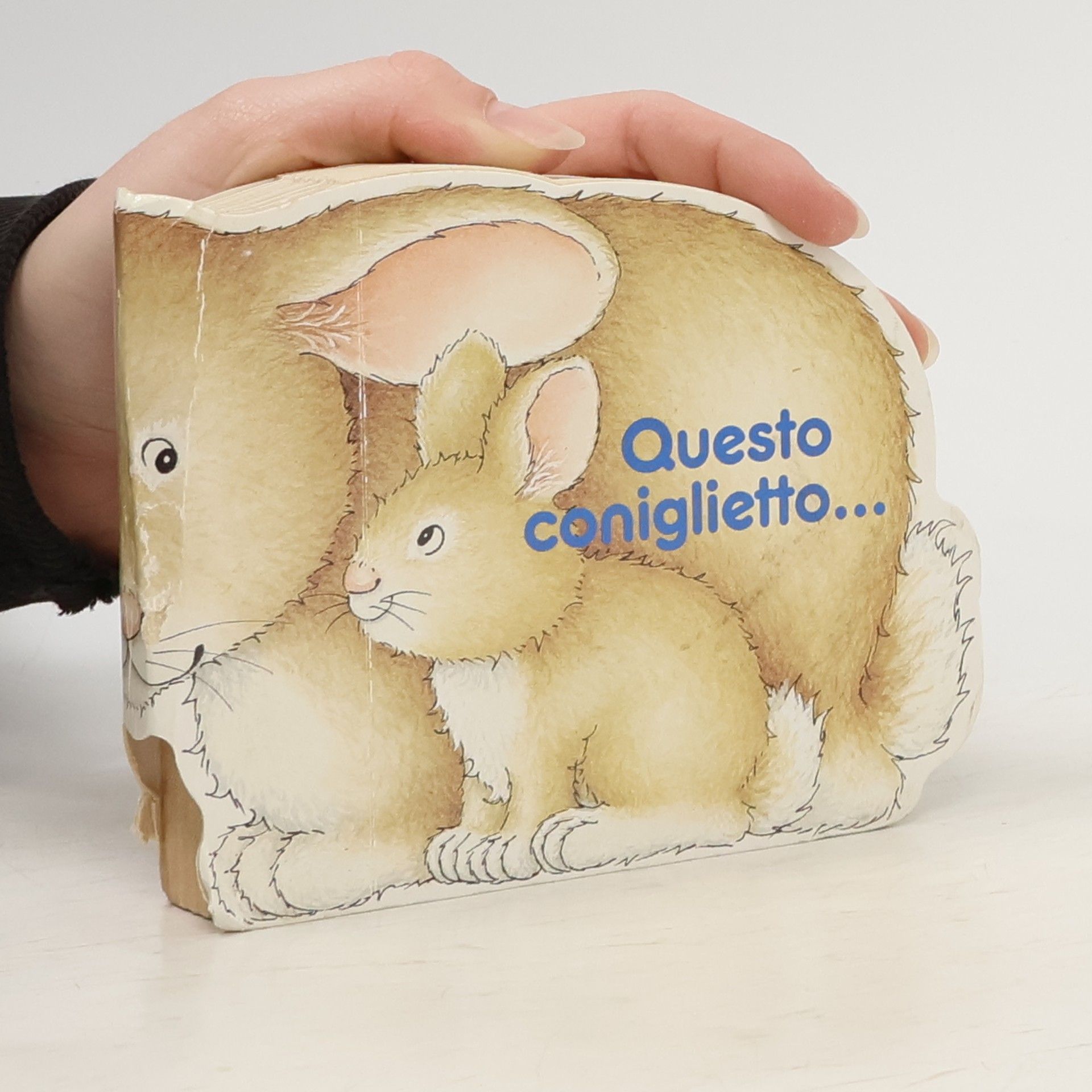 Autorenkollektiv Questo coniglietto...