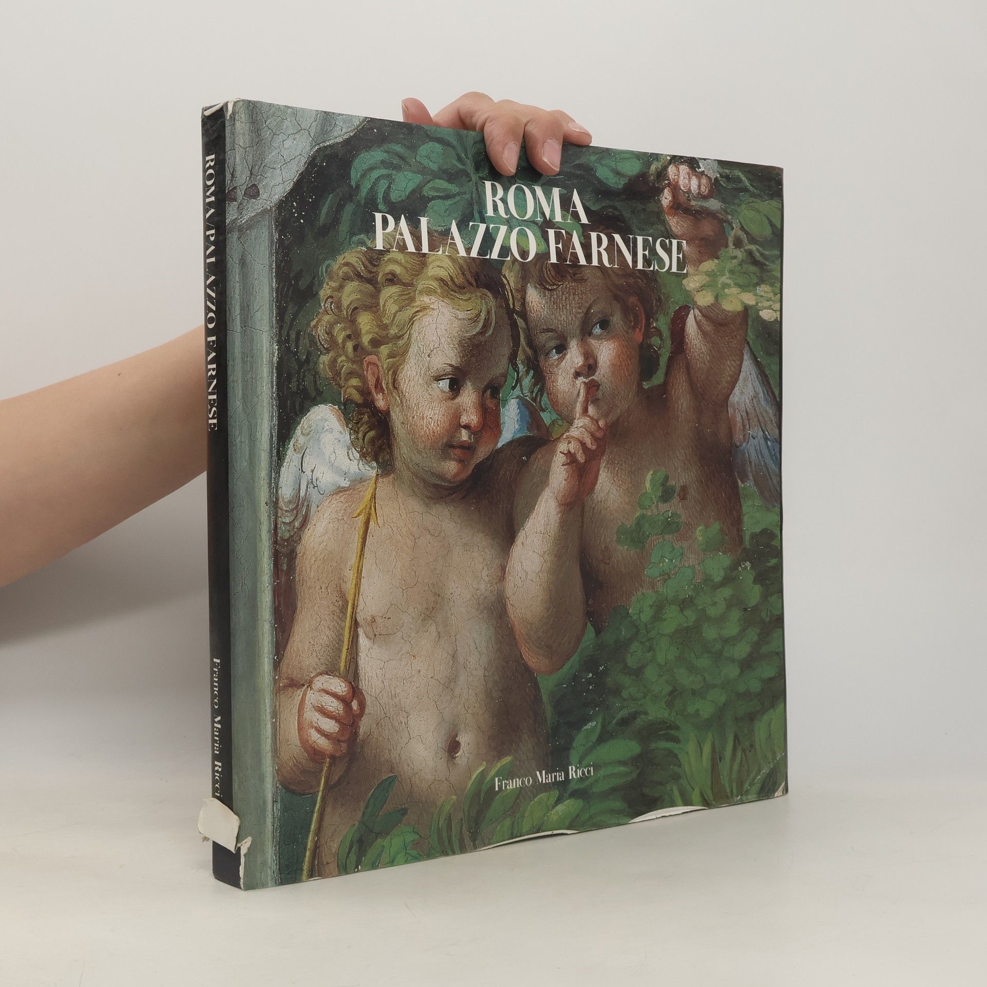 AA.VV. Roma Palazzo Farnese