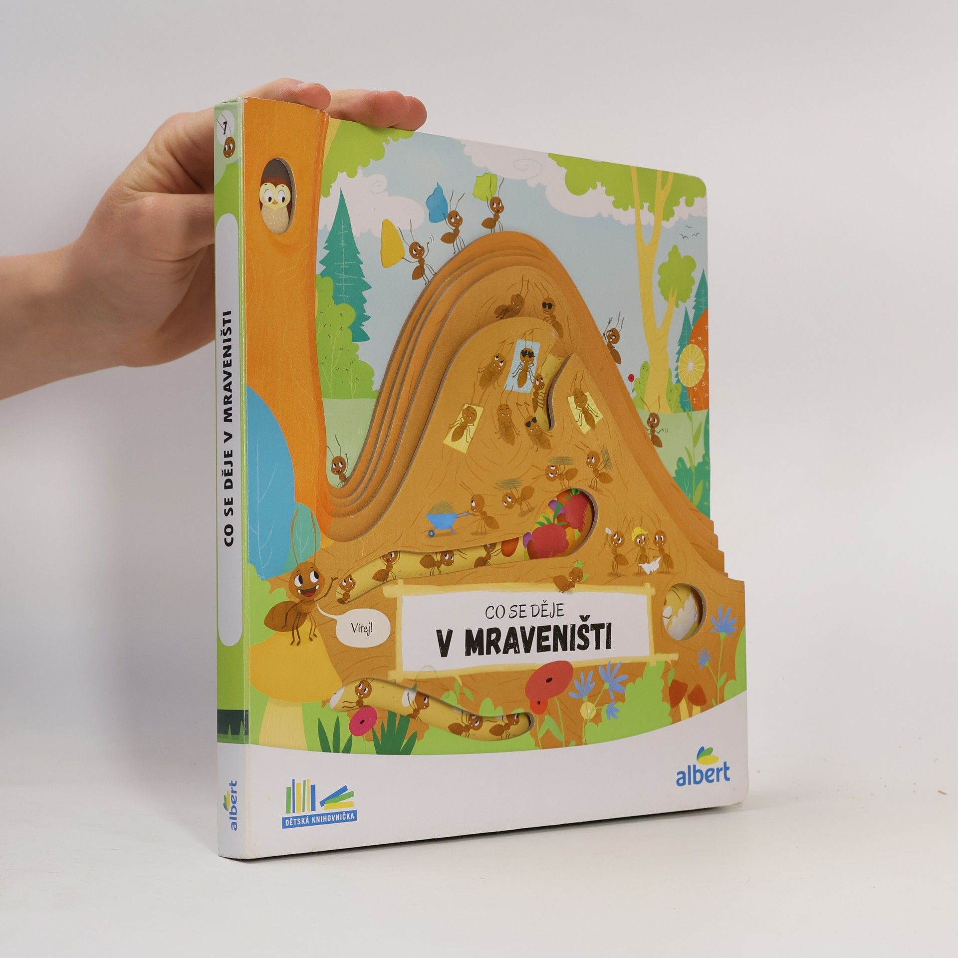 Auteurscollectief Co se děje v mraveništi