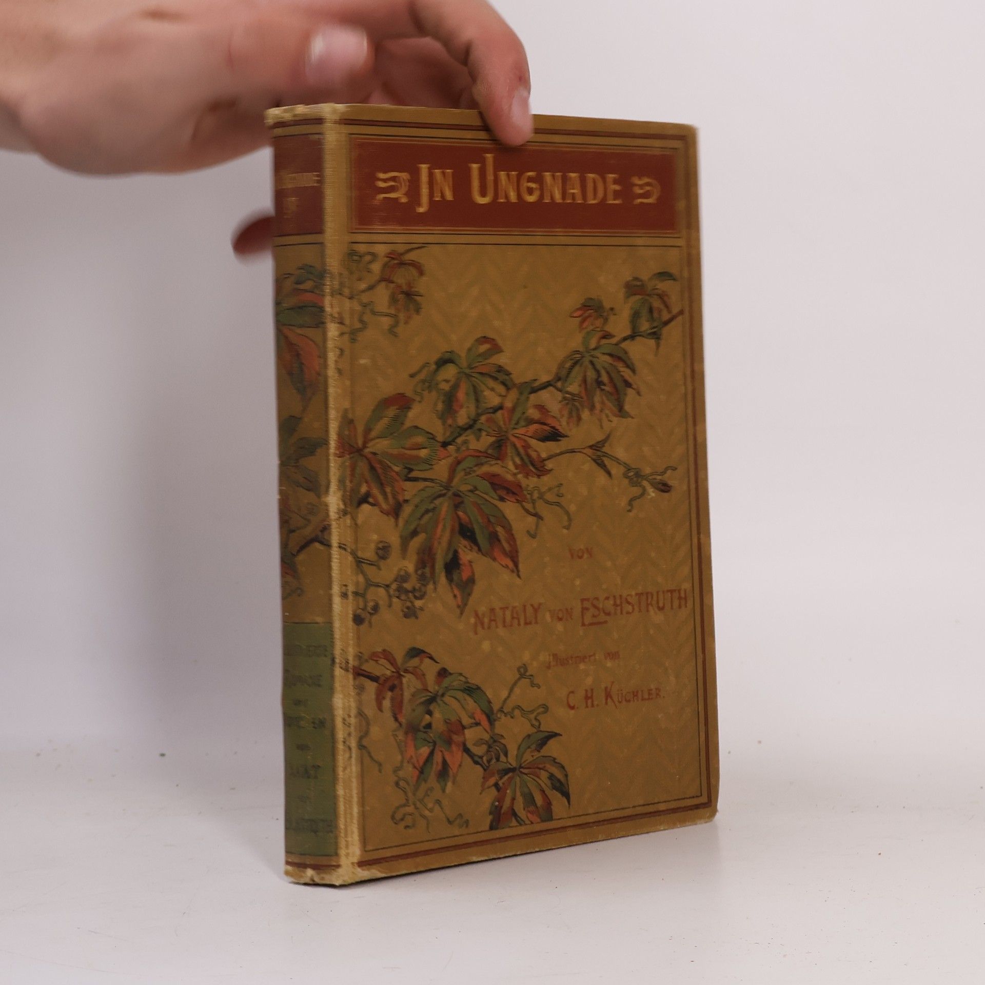 Nataly von Eschstruth In Ungnade I