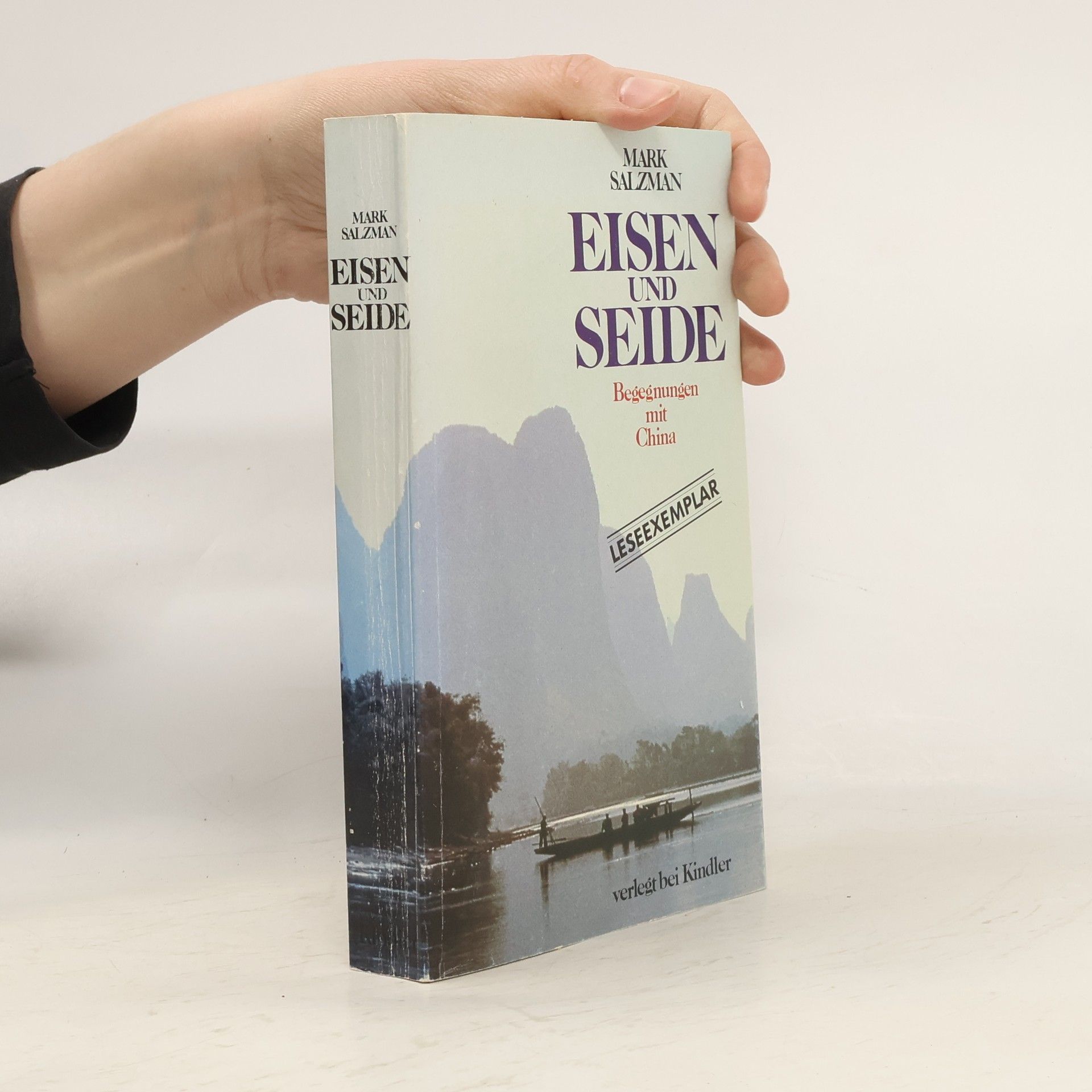 Mark Salzman Eisen und Seide