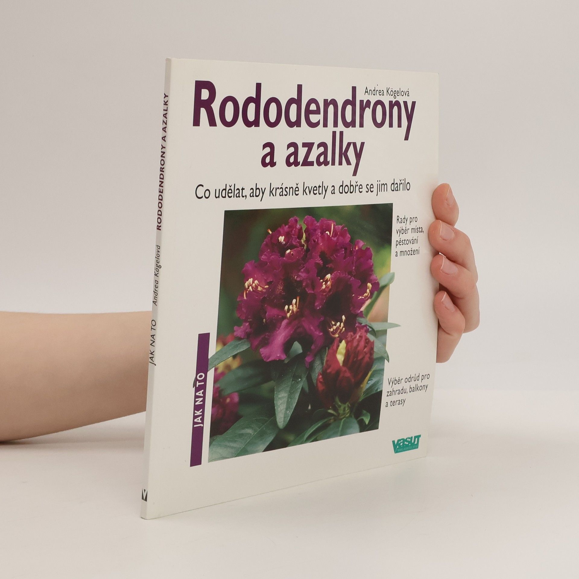 Andrea Kögel Rododendrony a azalky
