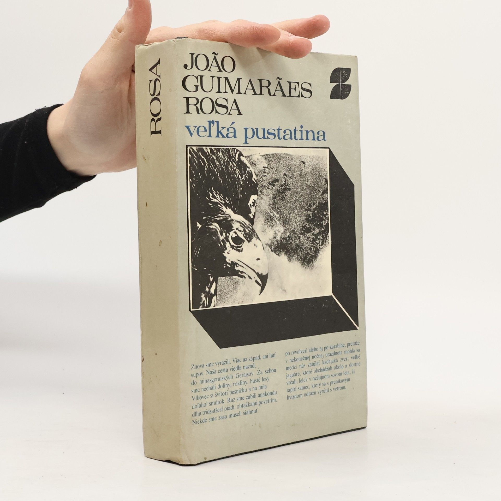 João Guimarães Rosa Vel'ká pustatina