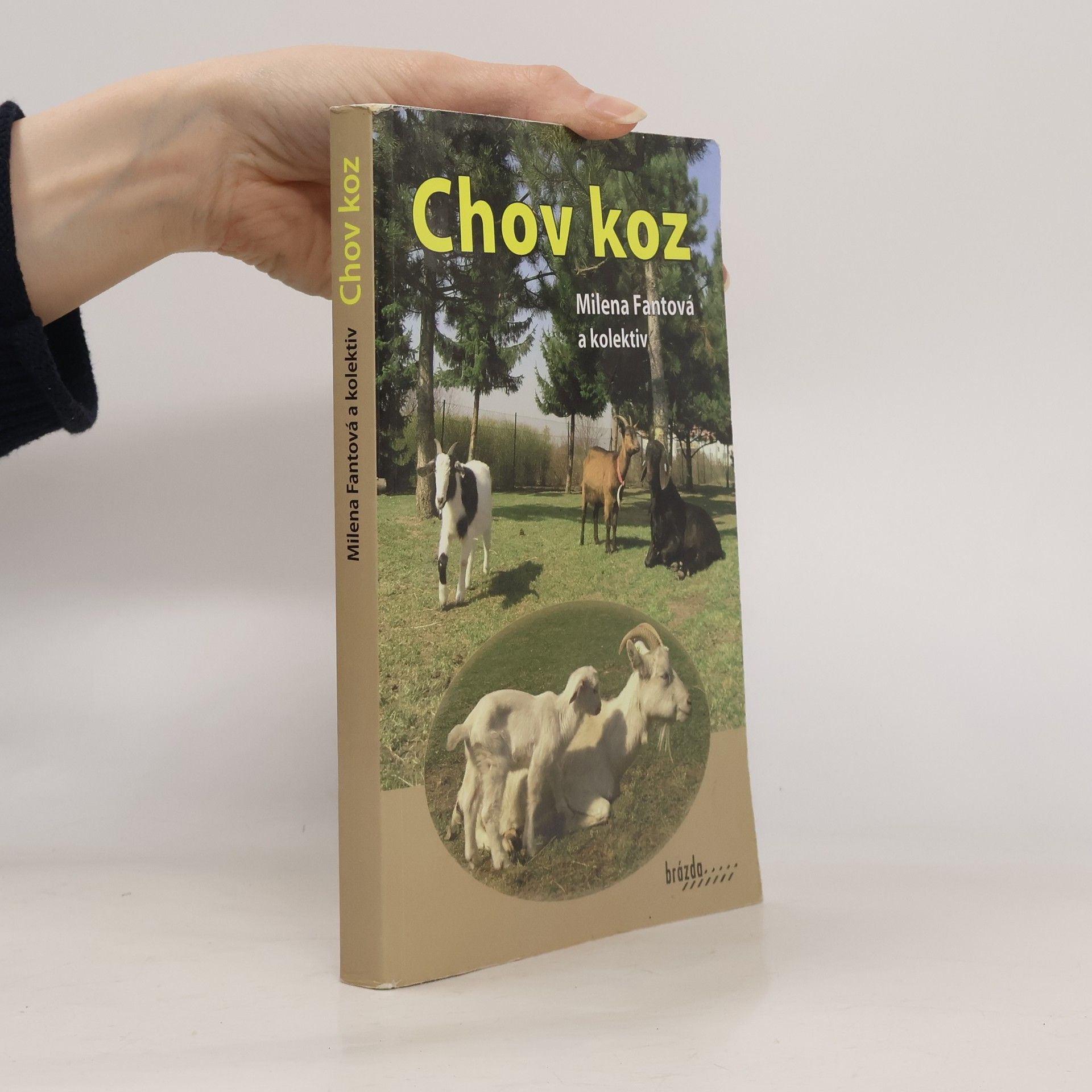 Milena Fantová Chov koz