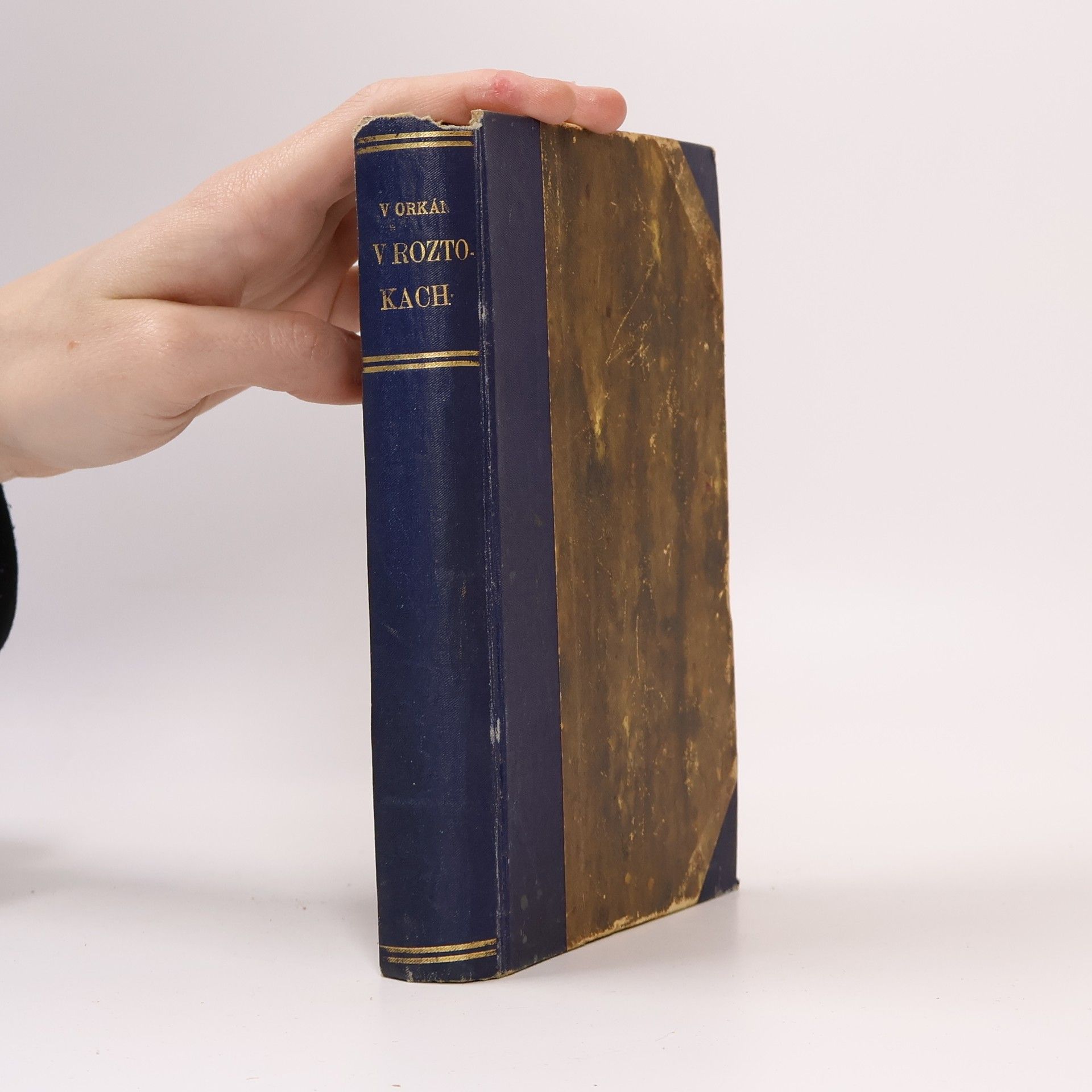 Vladislav Orkan V roztokách