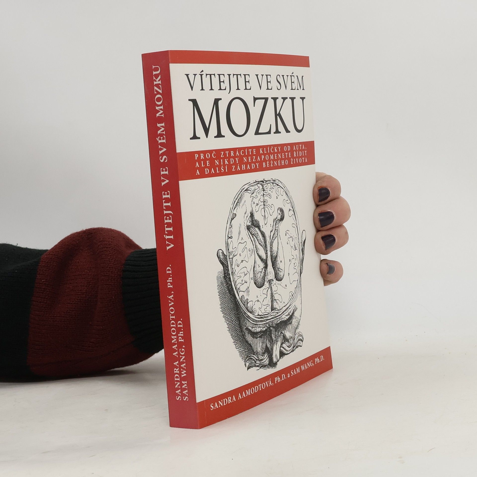 Vítejte ve svém mozku