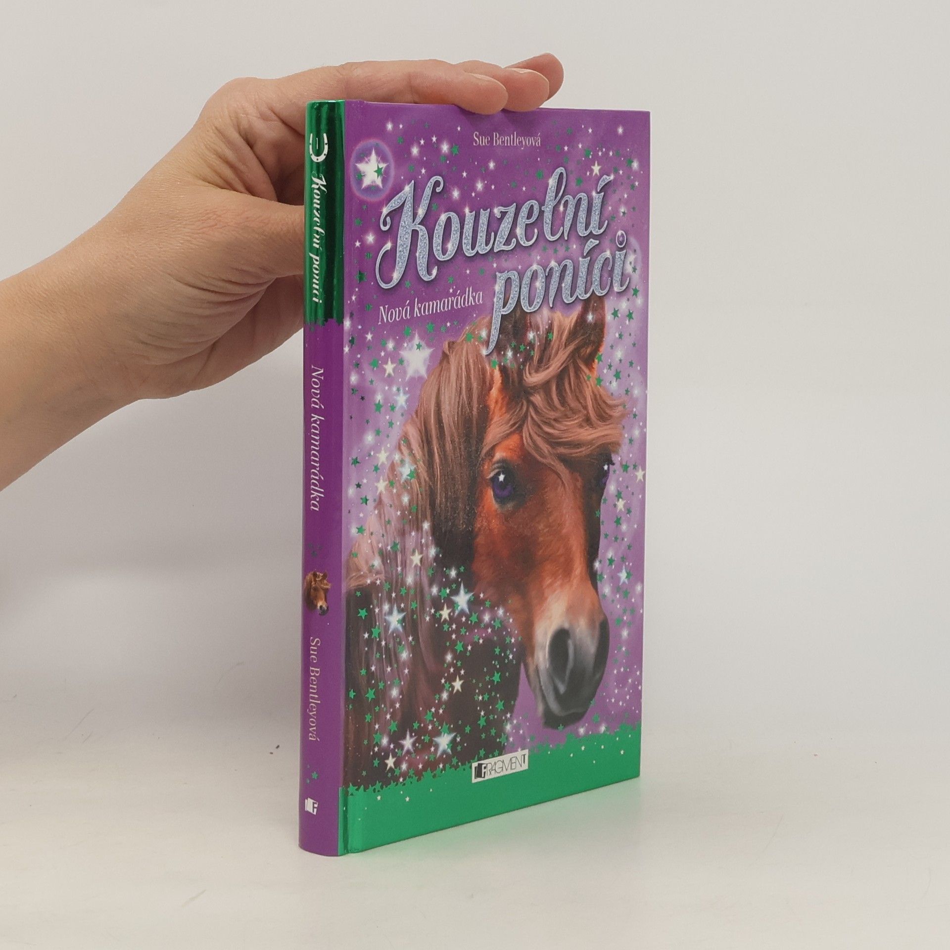 Sue Bentley Nová kamarádka