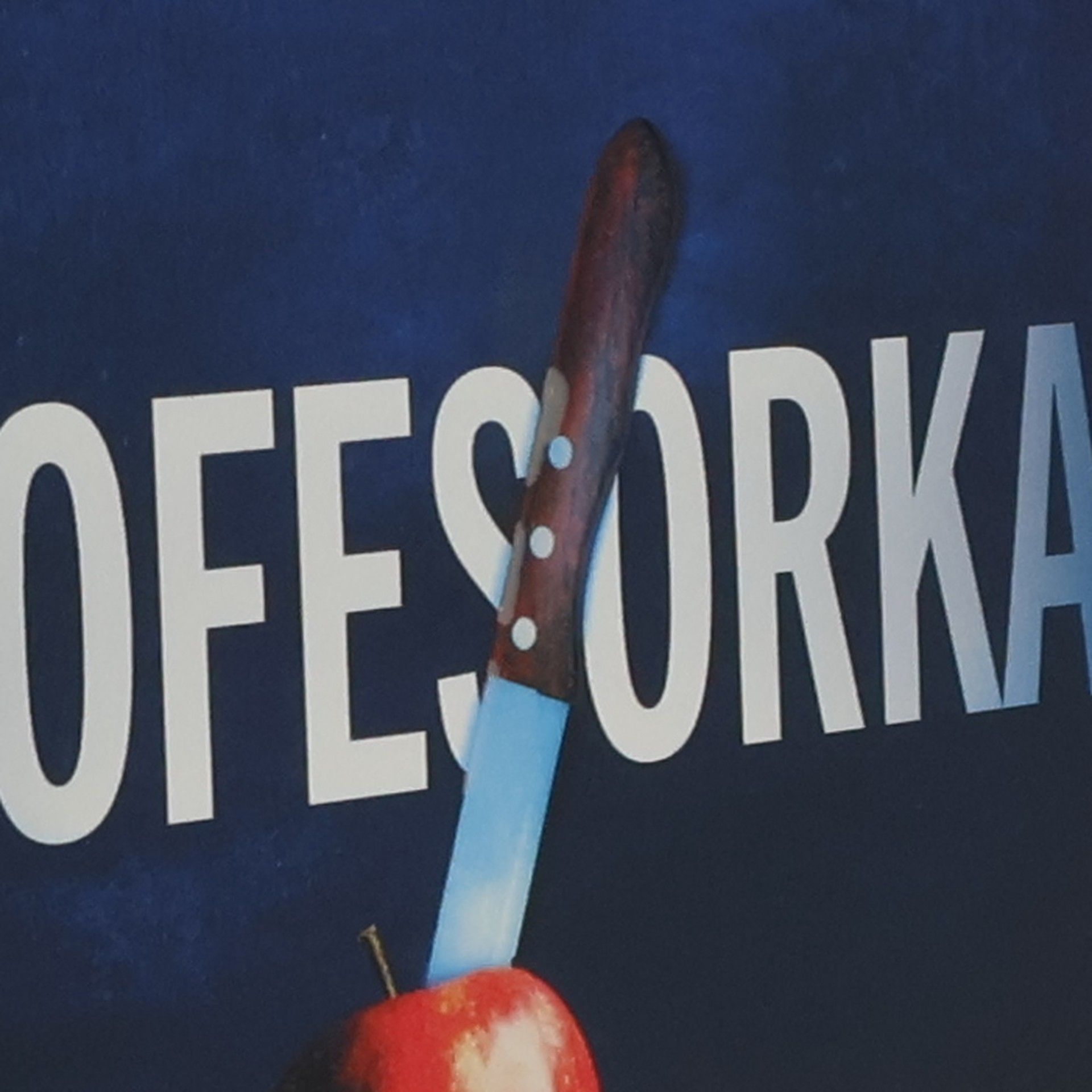 Freida McFadden Profesorka