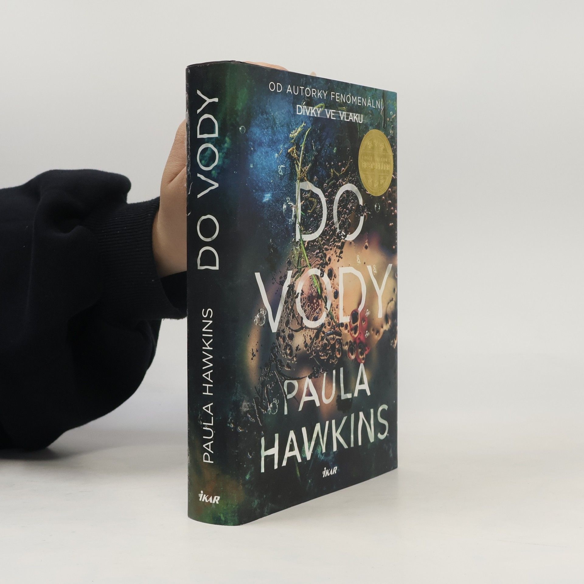 Paula Hawkins Do vody