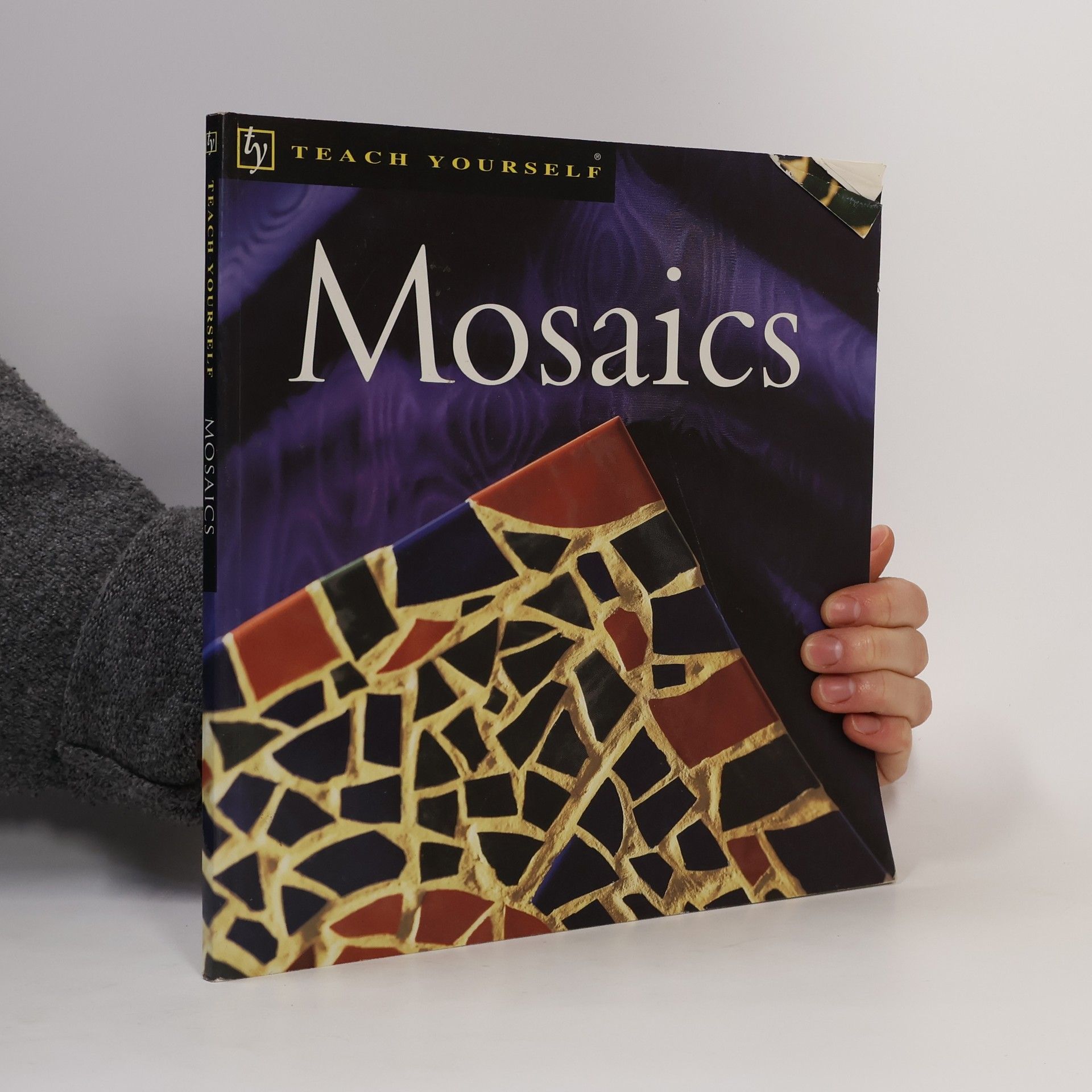 Jane McMorland Hunter Teach Yourself Mosaics