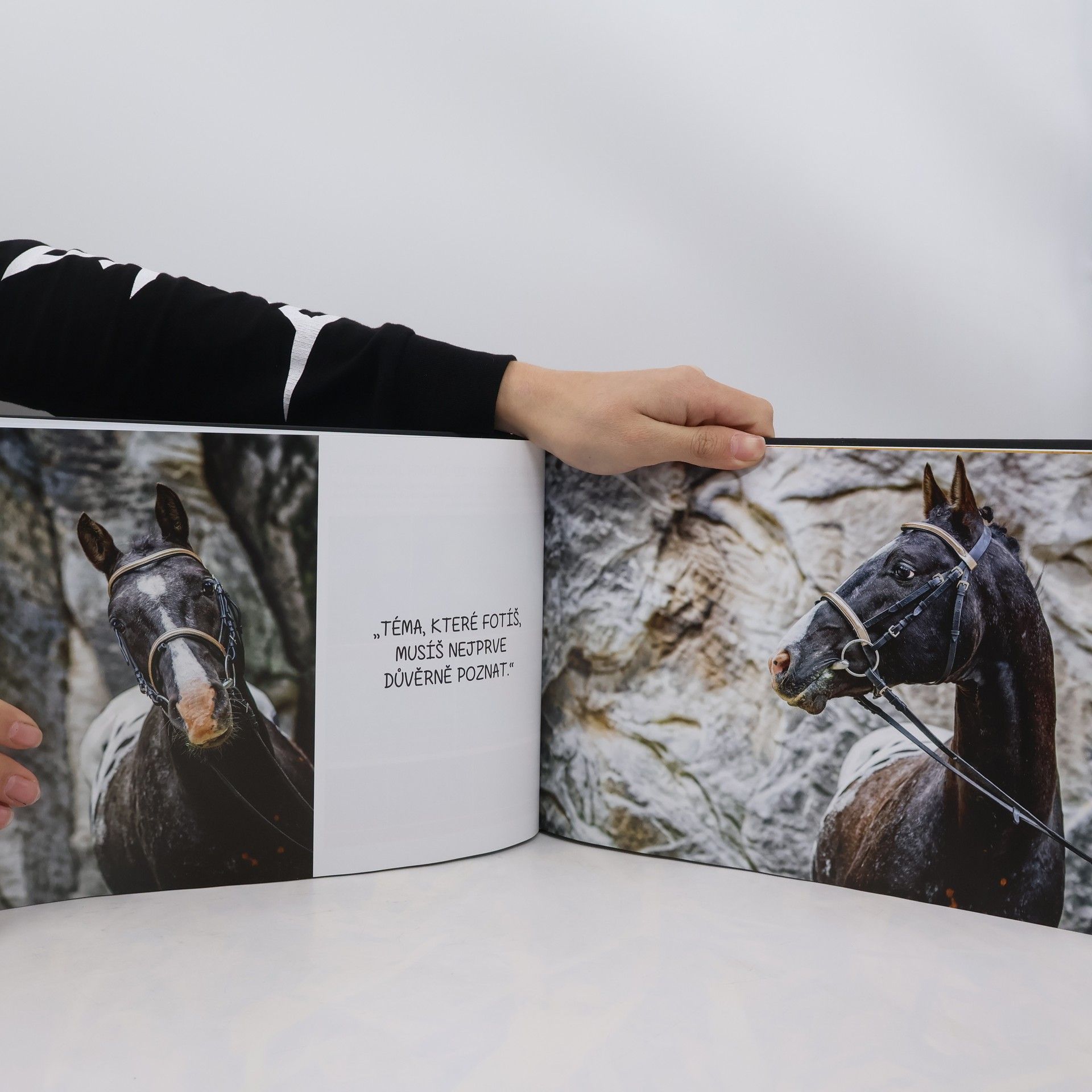 Burianová Martina Jak fotit koně / Návody, příběhy a fotografie ze světa koní