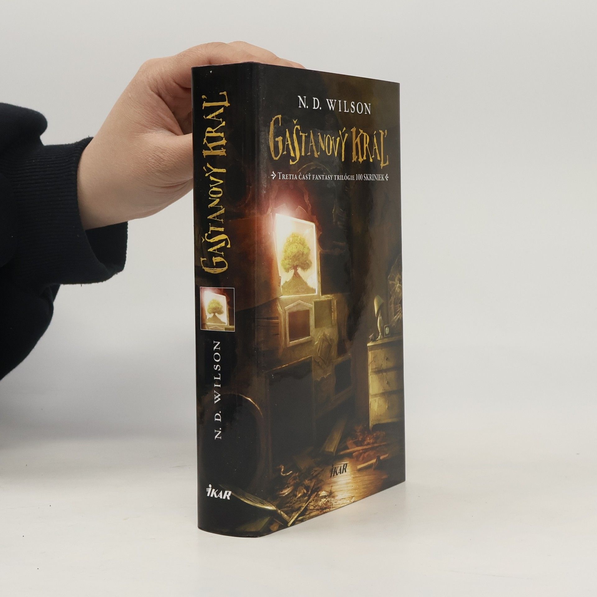 N. D. Wilson Gaštanový kráľ