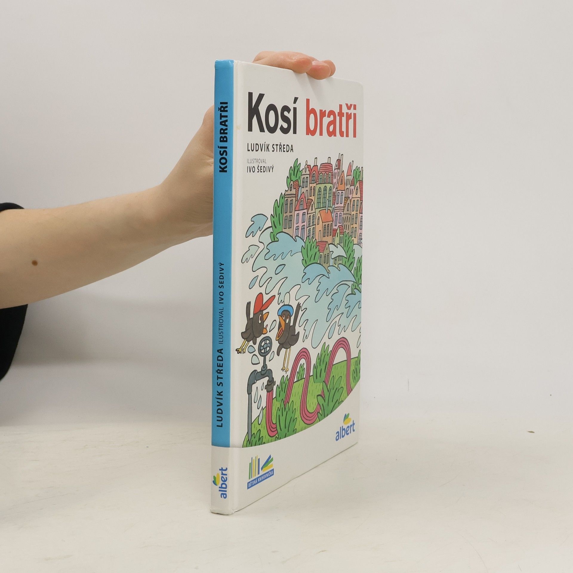 Ludvík Středa Kosí bratři