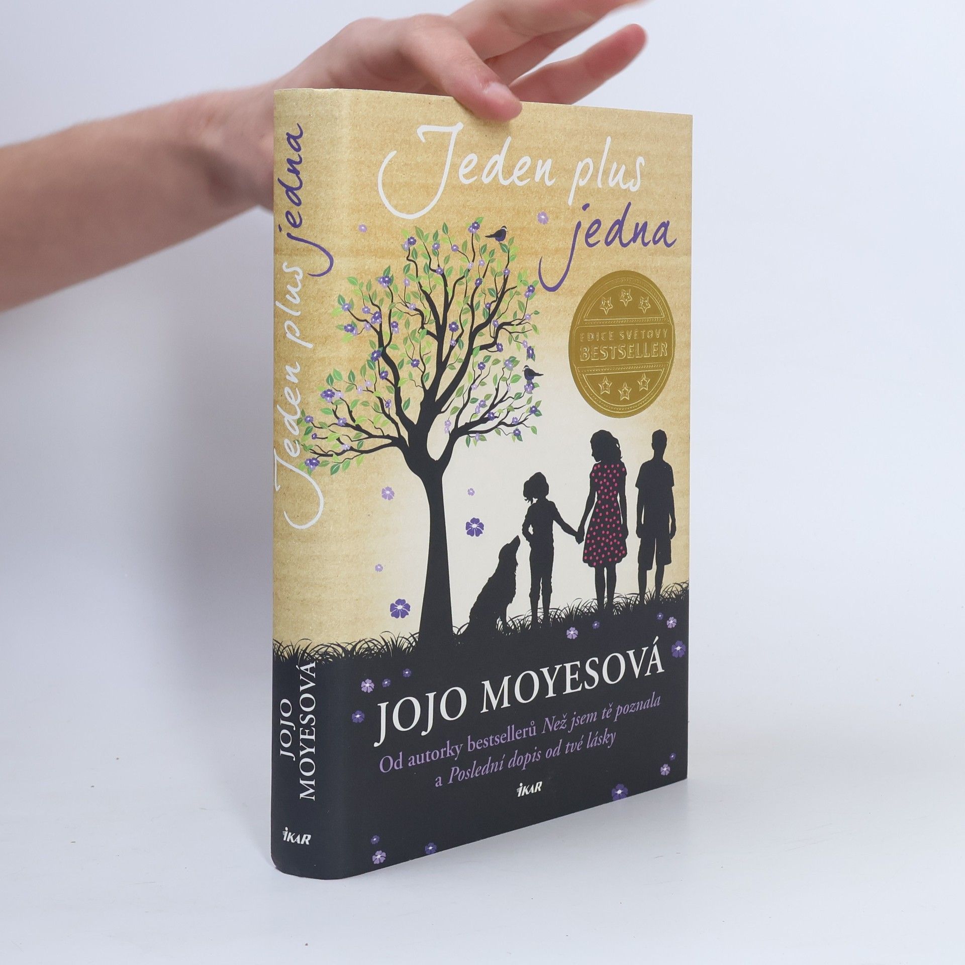 Jojo Moyes Jeden plus jedna