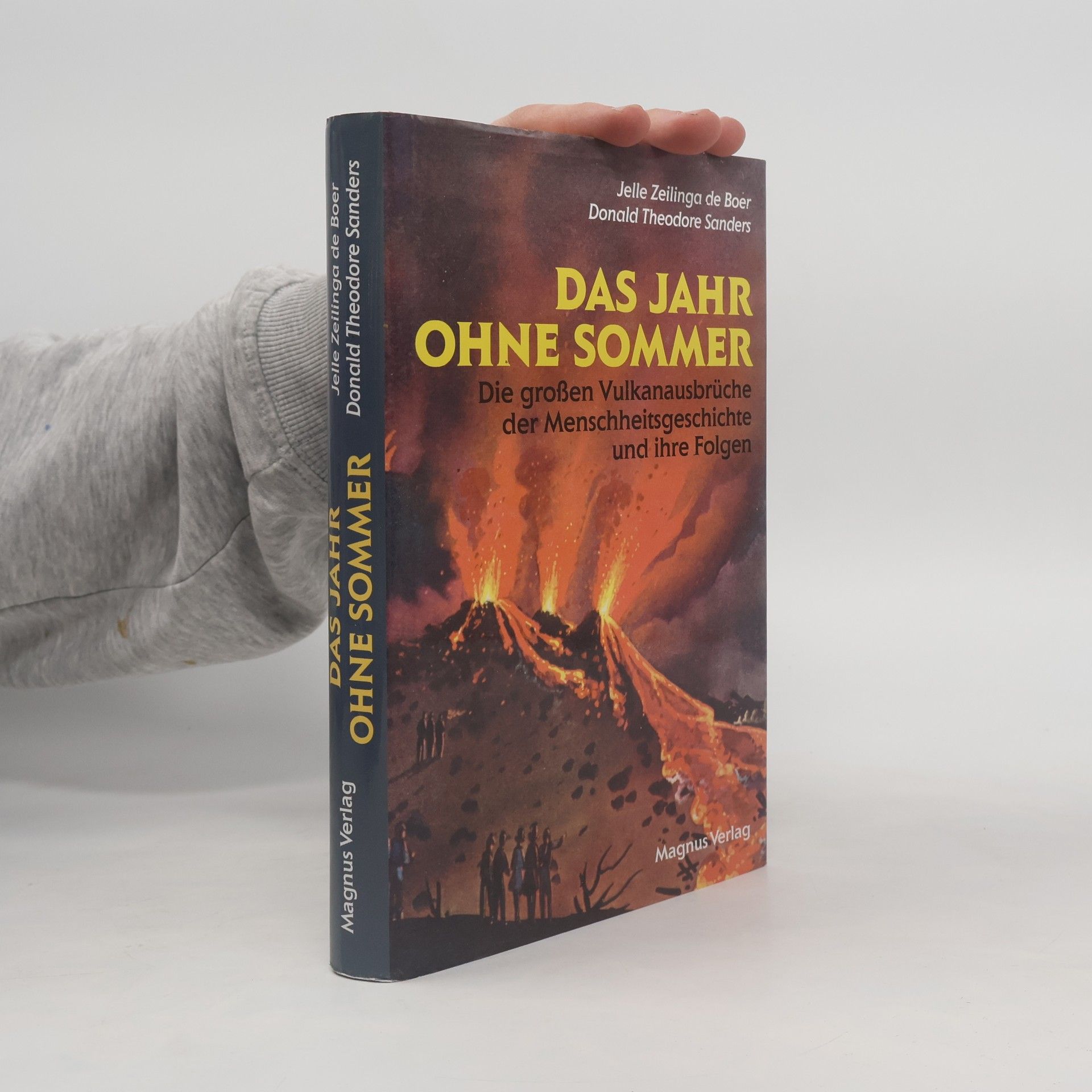 Jelle Zeilinga de Boer Das Jahr ohne Sommer