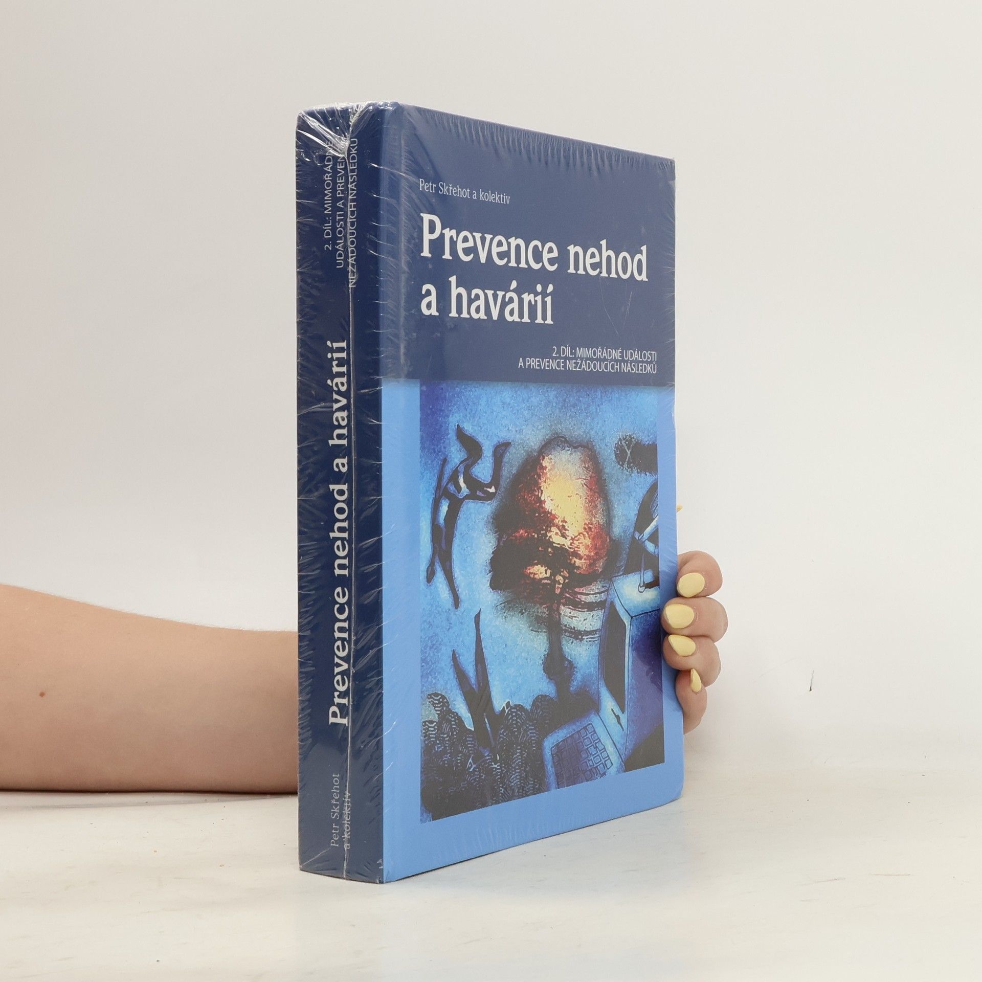 Kolektiv autorů Prevence nehod a havárií