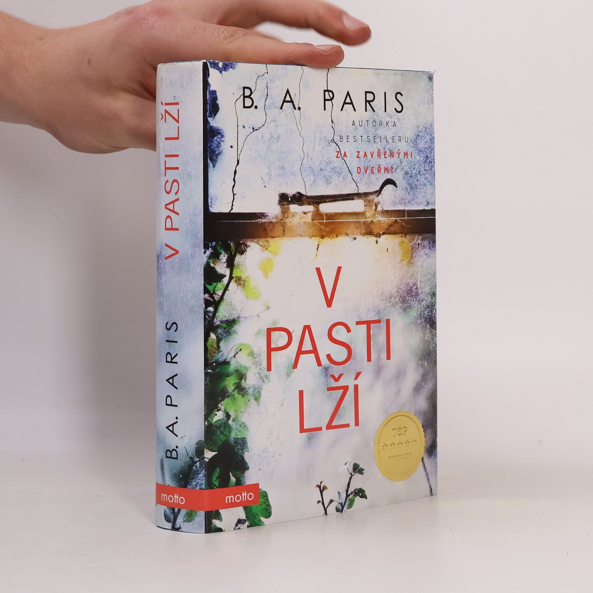 B. A. Paris V pasti lží