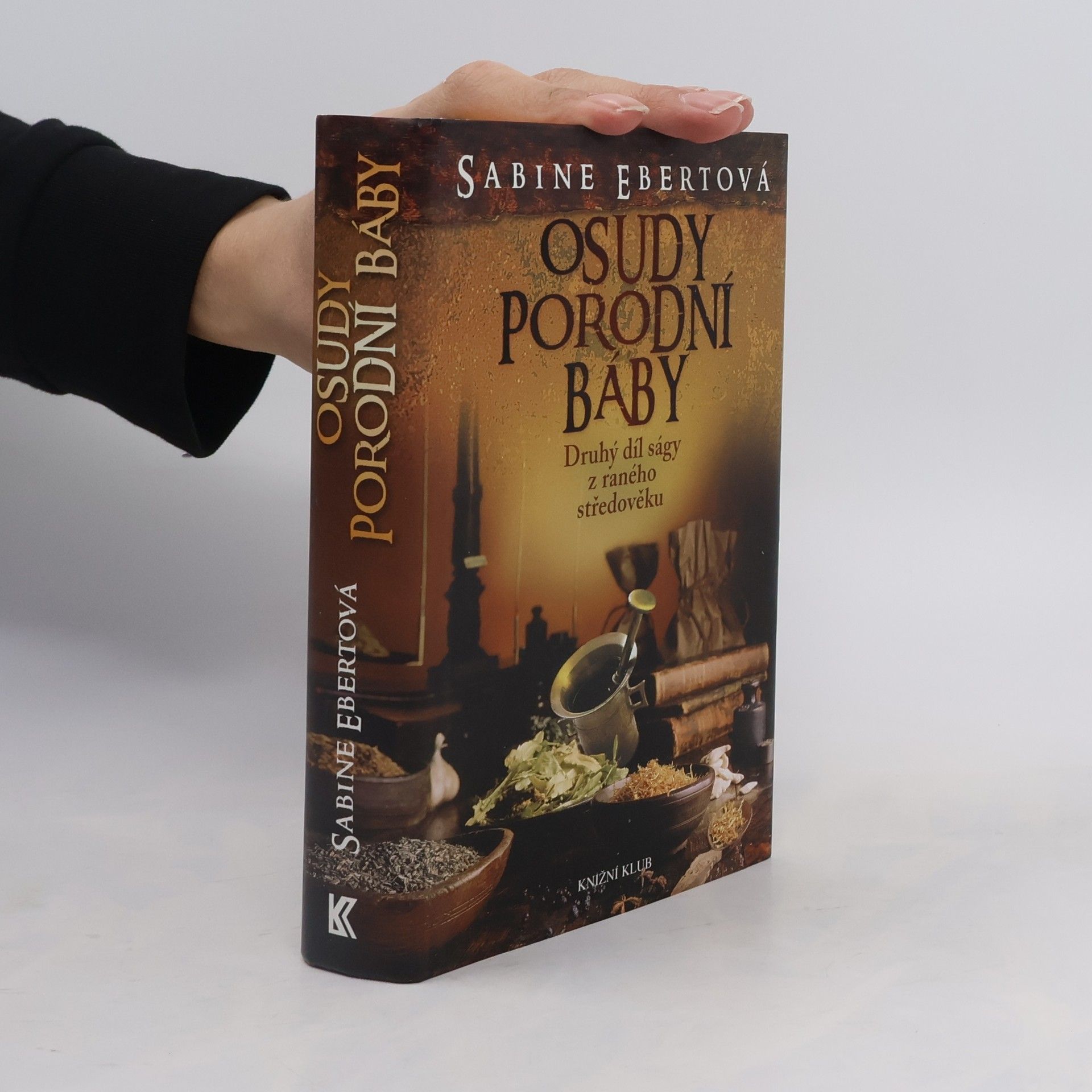 Sabine Ebert Osudy porodní báby