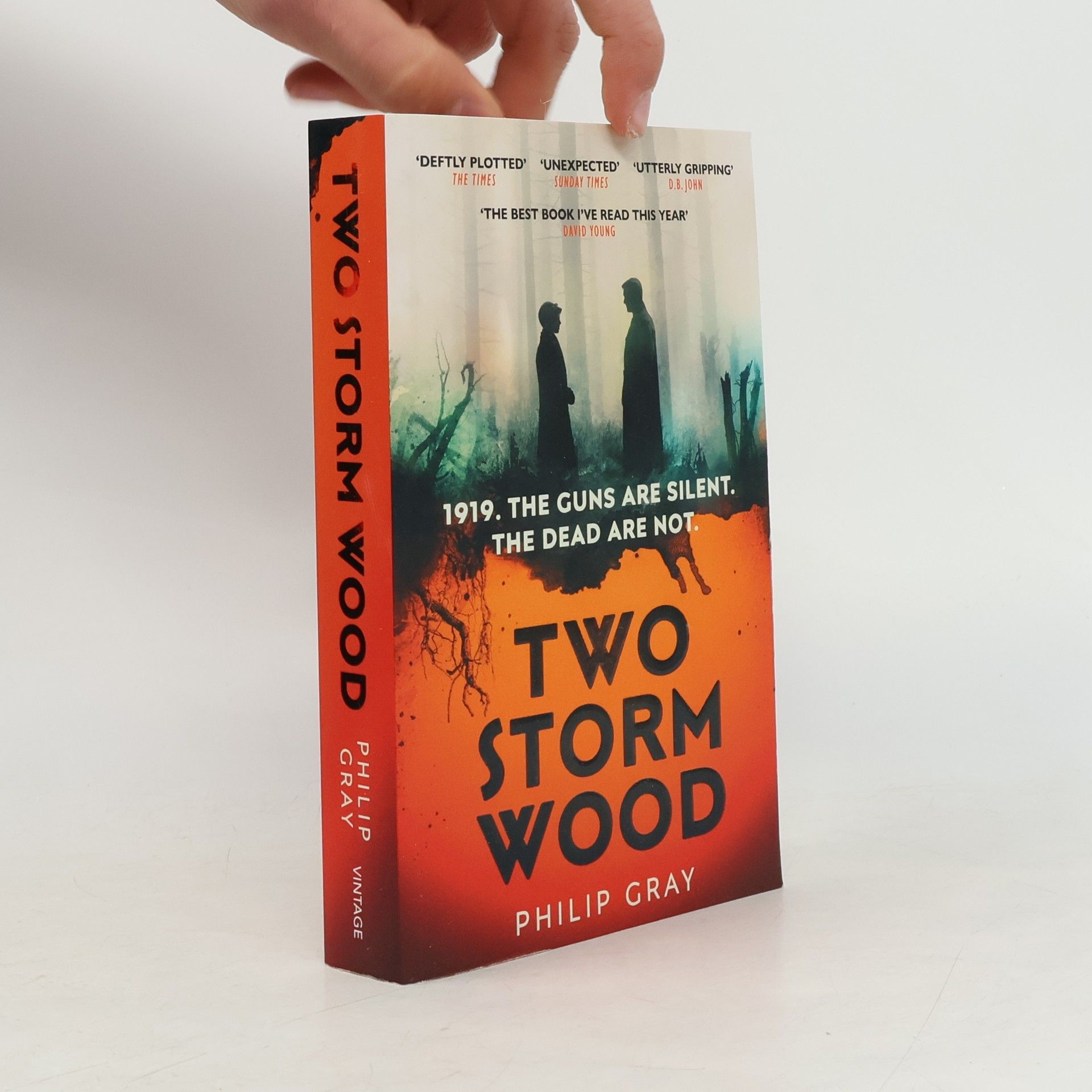 Alistair M Gray Two Storm Wood