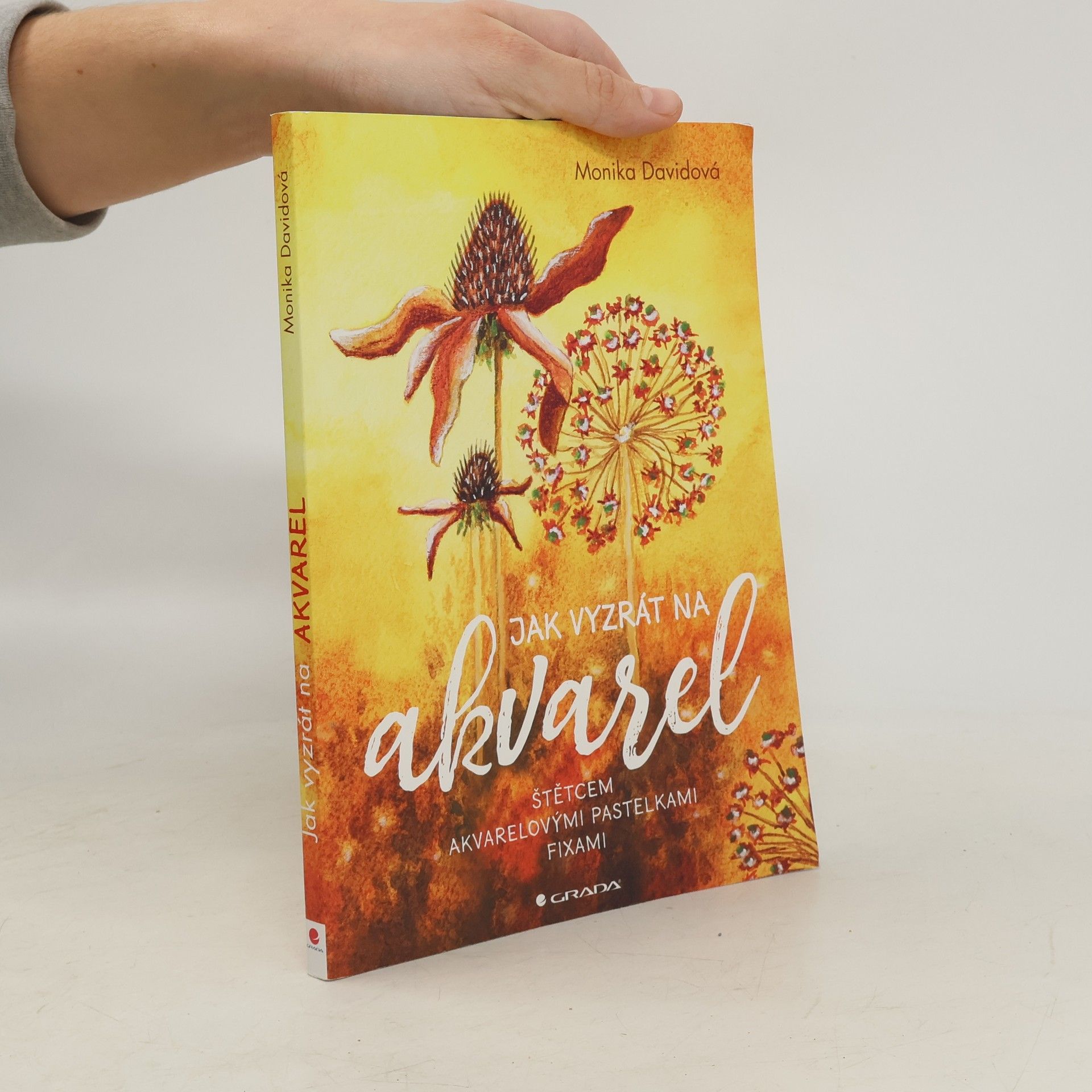 Monika Davidová Jak vyzrát na akvarel : štětcem, akvarelovými pastelkami, fixami