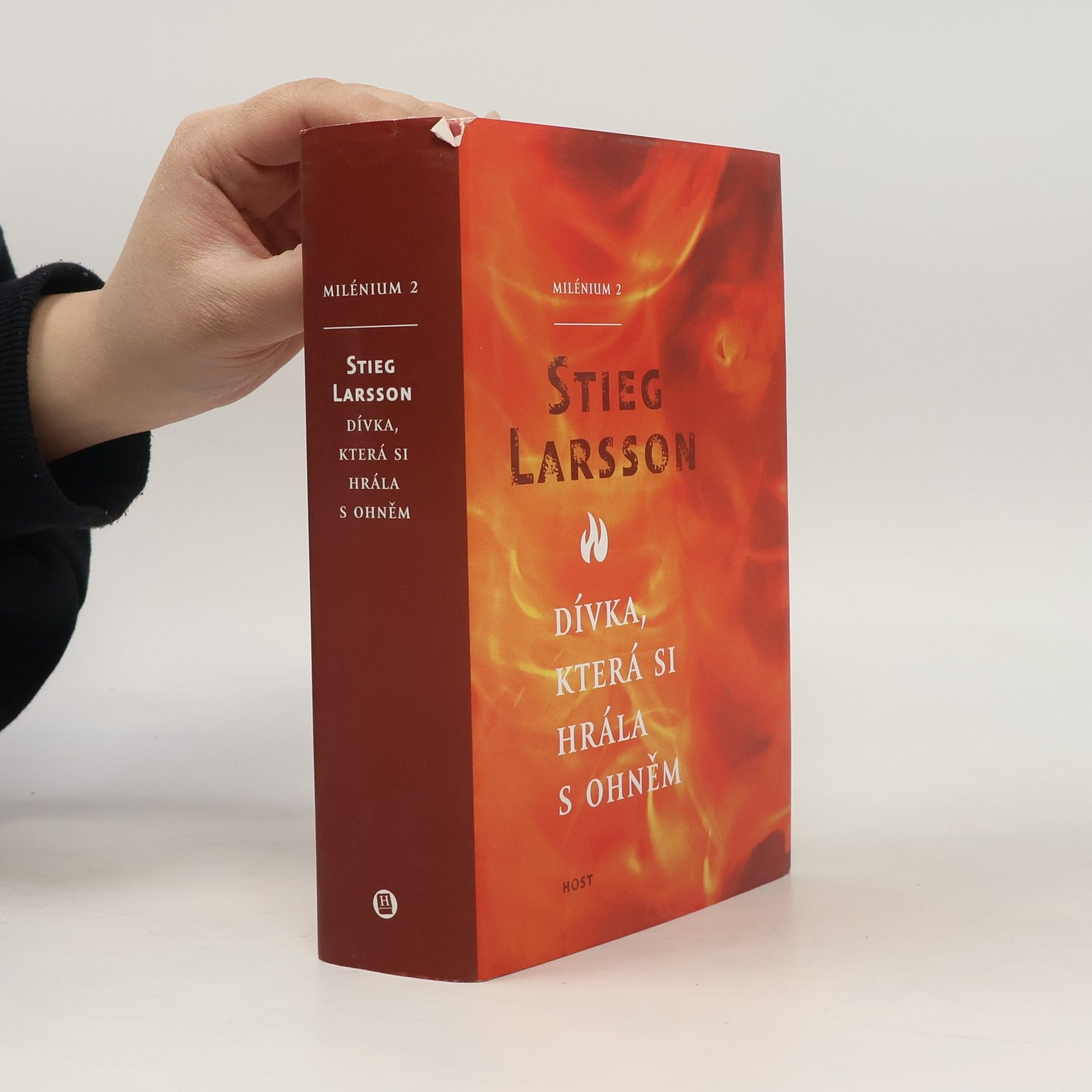 Stieg Larsson Dívka, která si hrála s ohněm