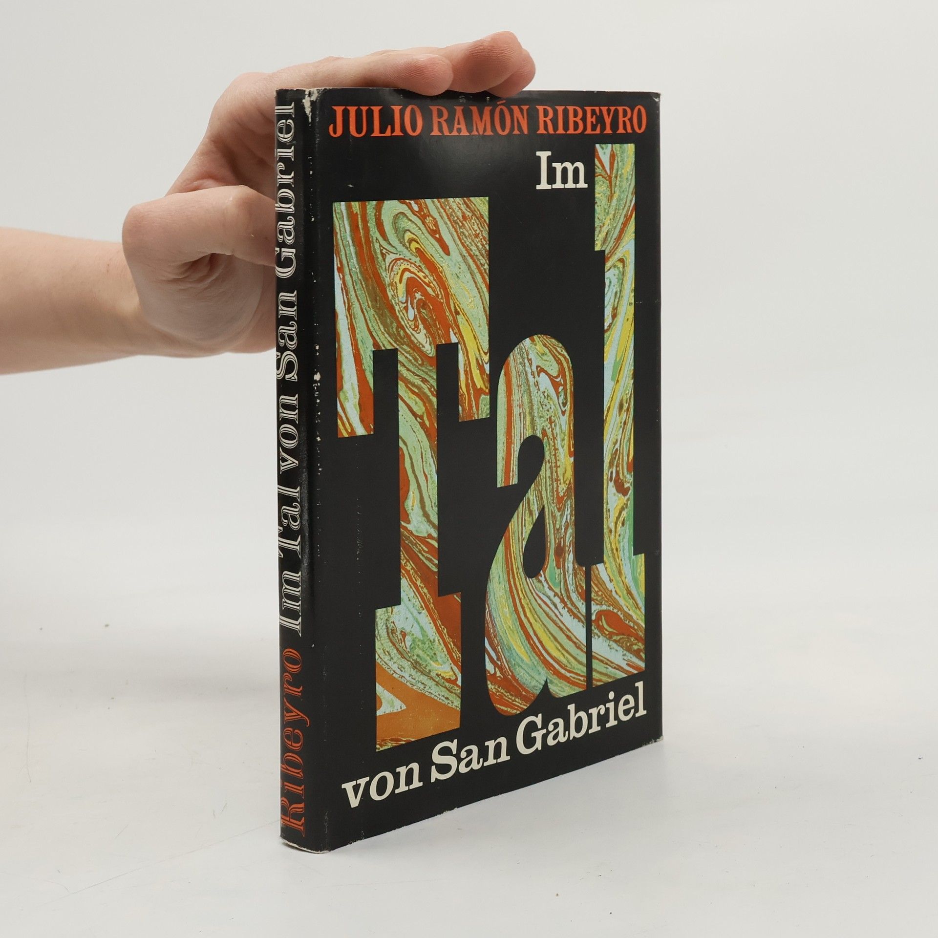 Julio Ramón Ribeyro Im Tal von San Gabriel