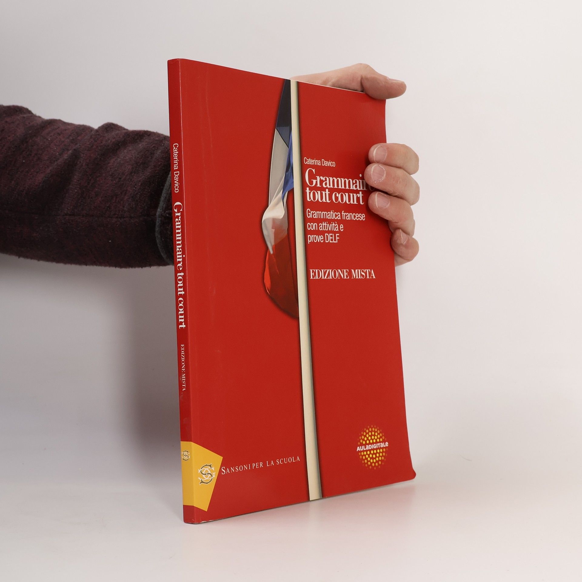Caterina Davico Grammaire tout court