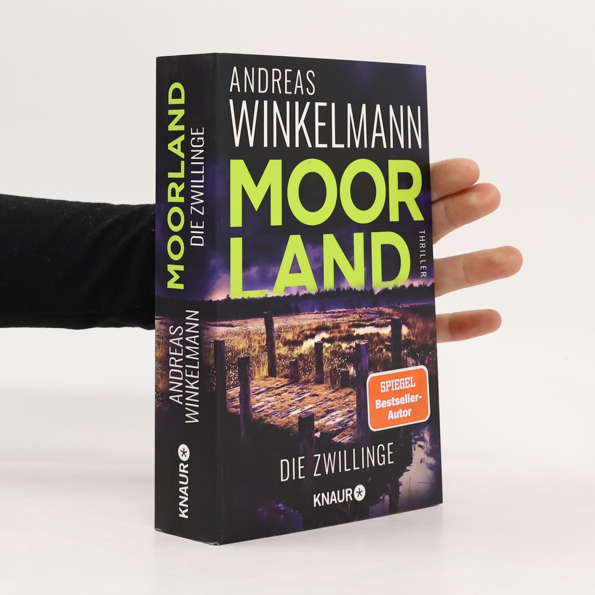 Hendrik Winter Moorland. Die Zwillinge