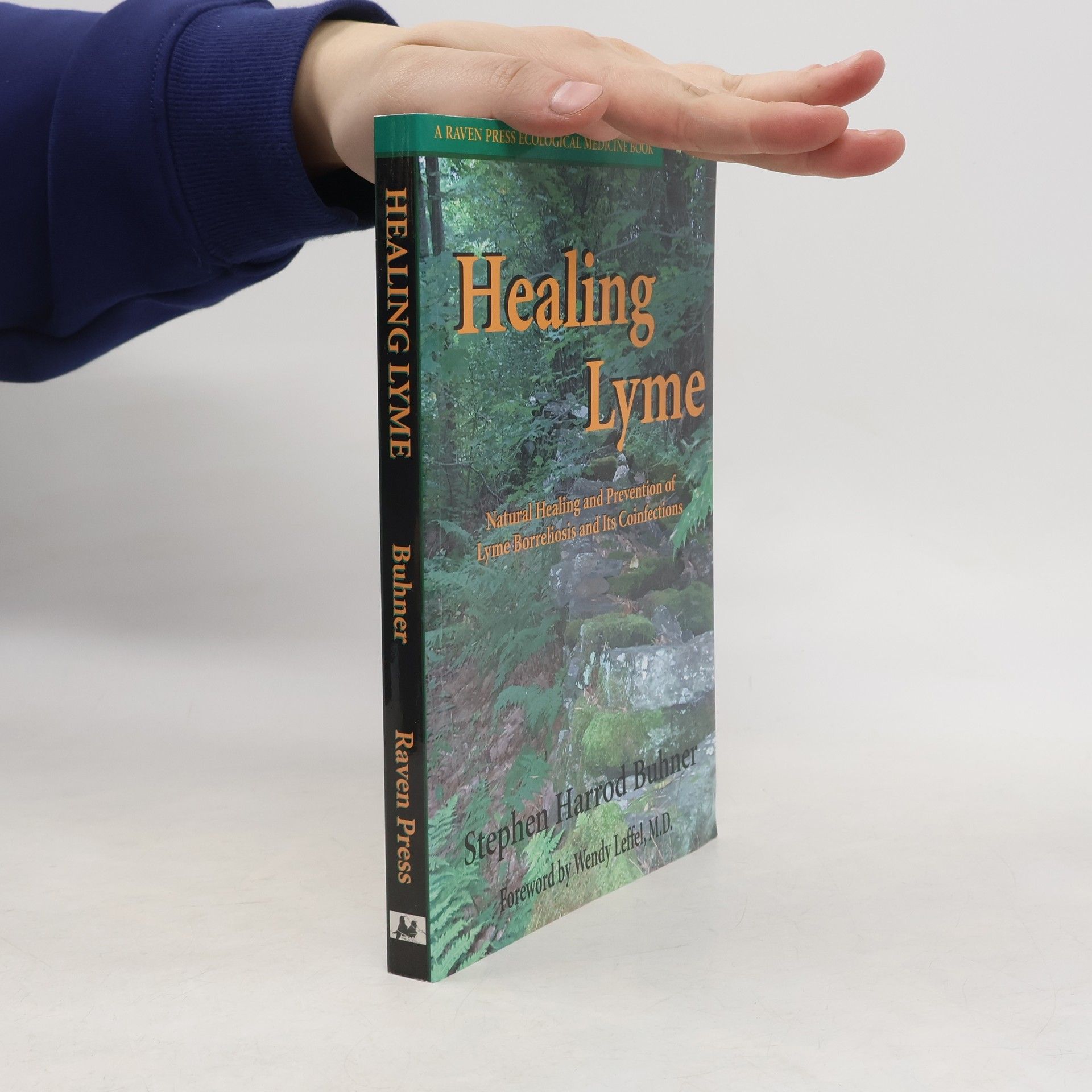 Stephen Harrod Buhner Healing Lyme