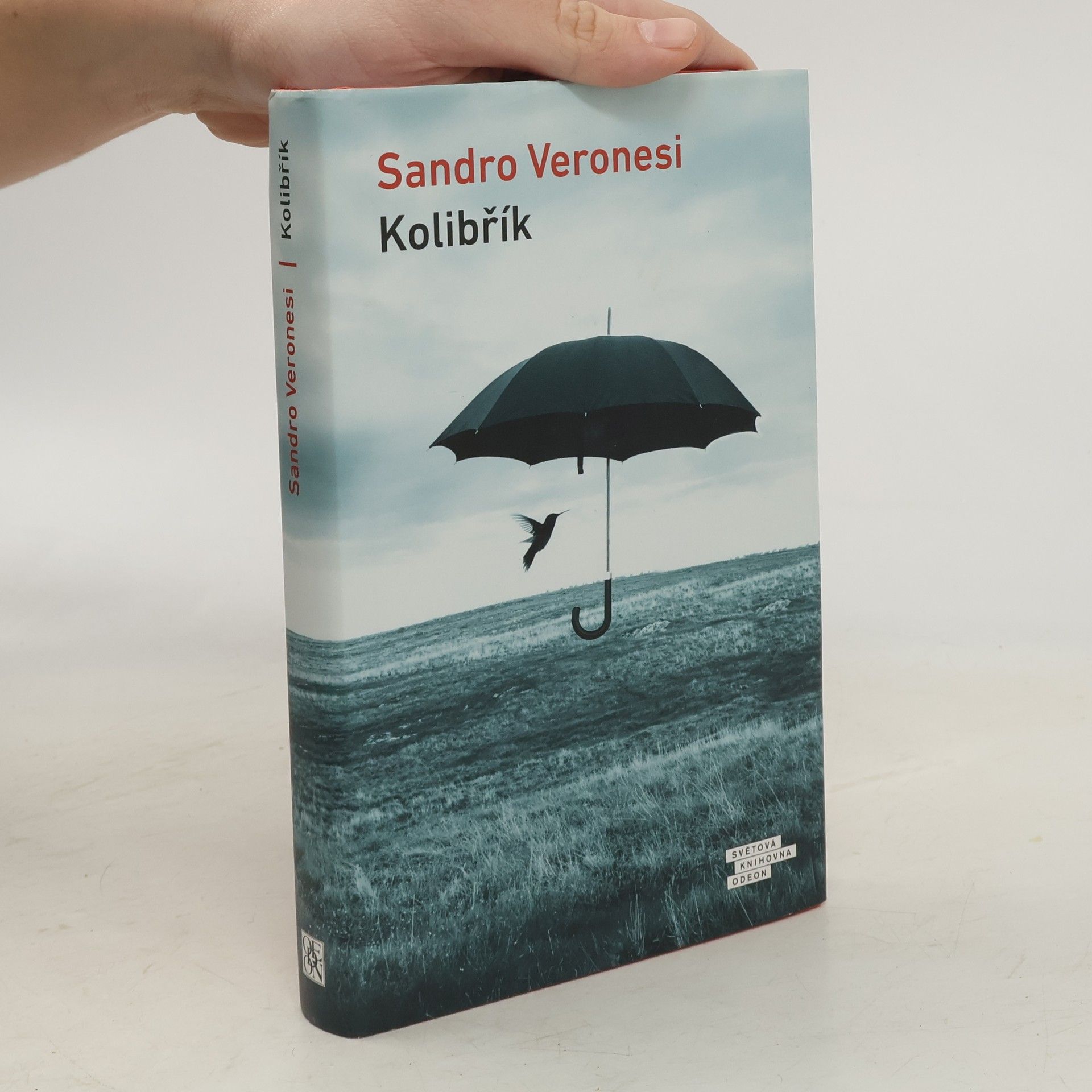 Sandro Veronesi Kolibřík