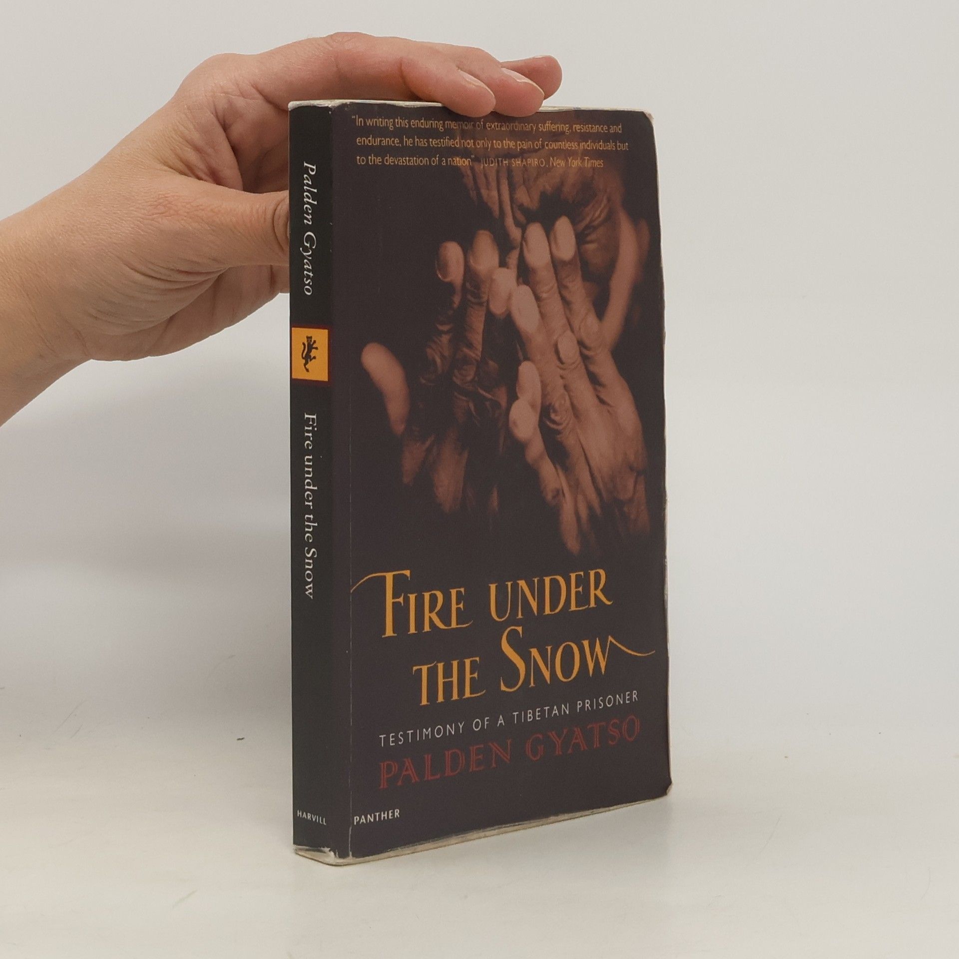 Palden Gyatso Fire Under the Snow